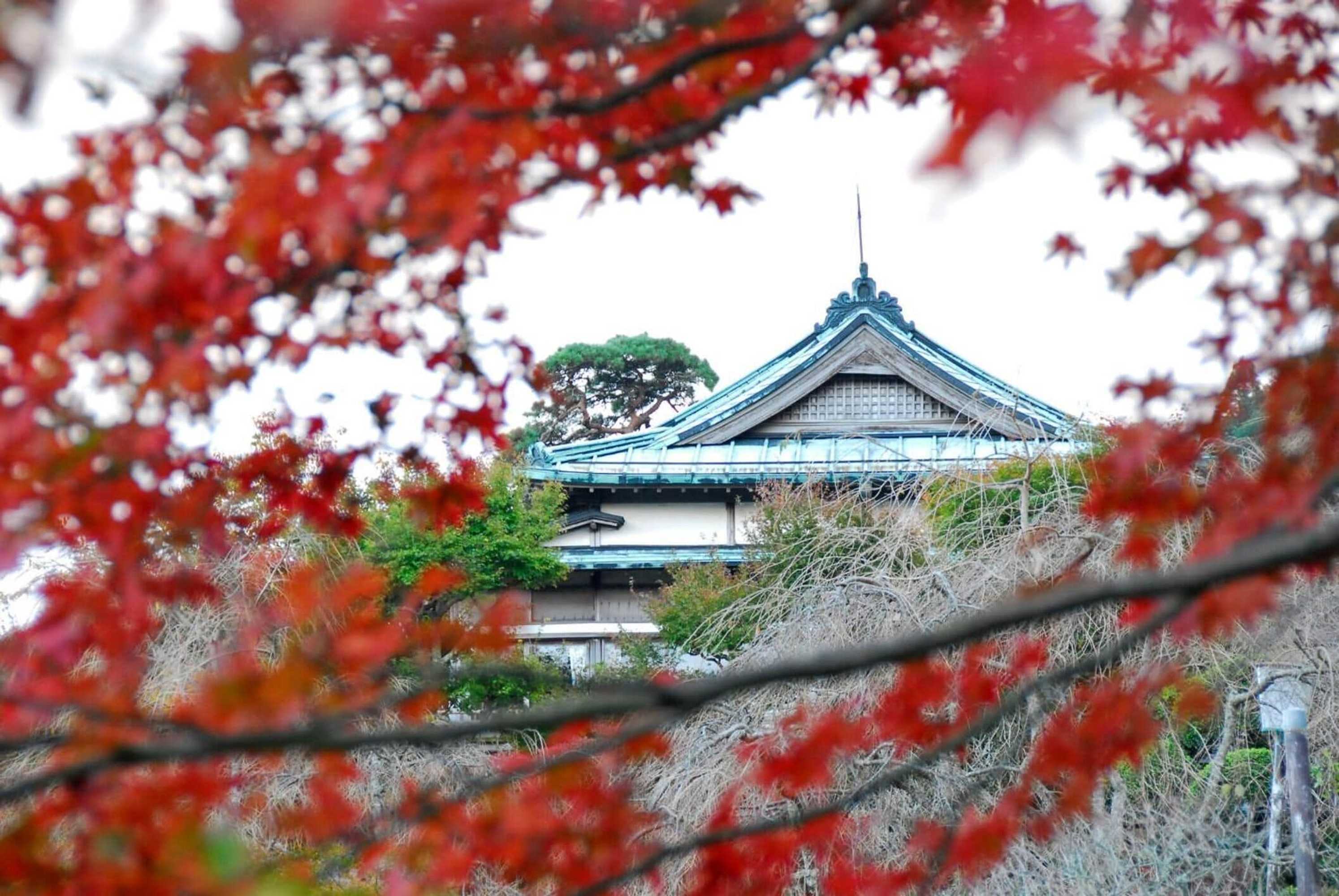 Gift card for Hakone Kowakien Mikawaya Ryokan Gift card for Hakone Kowakien Mikawaya Ryokan