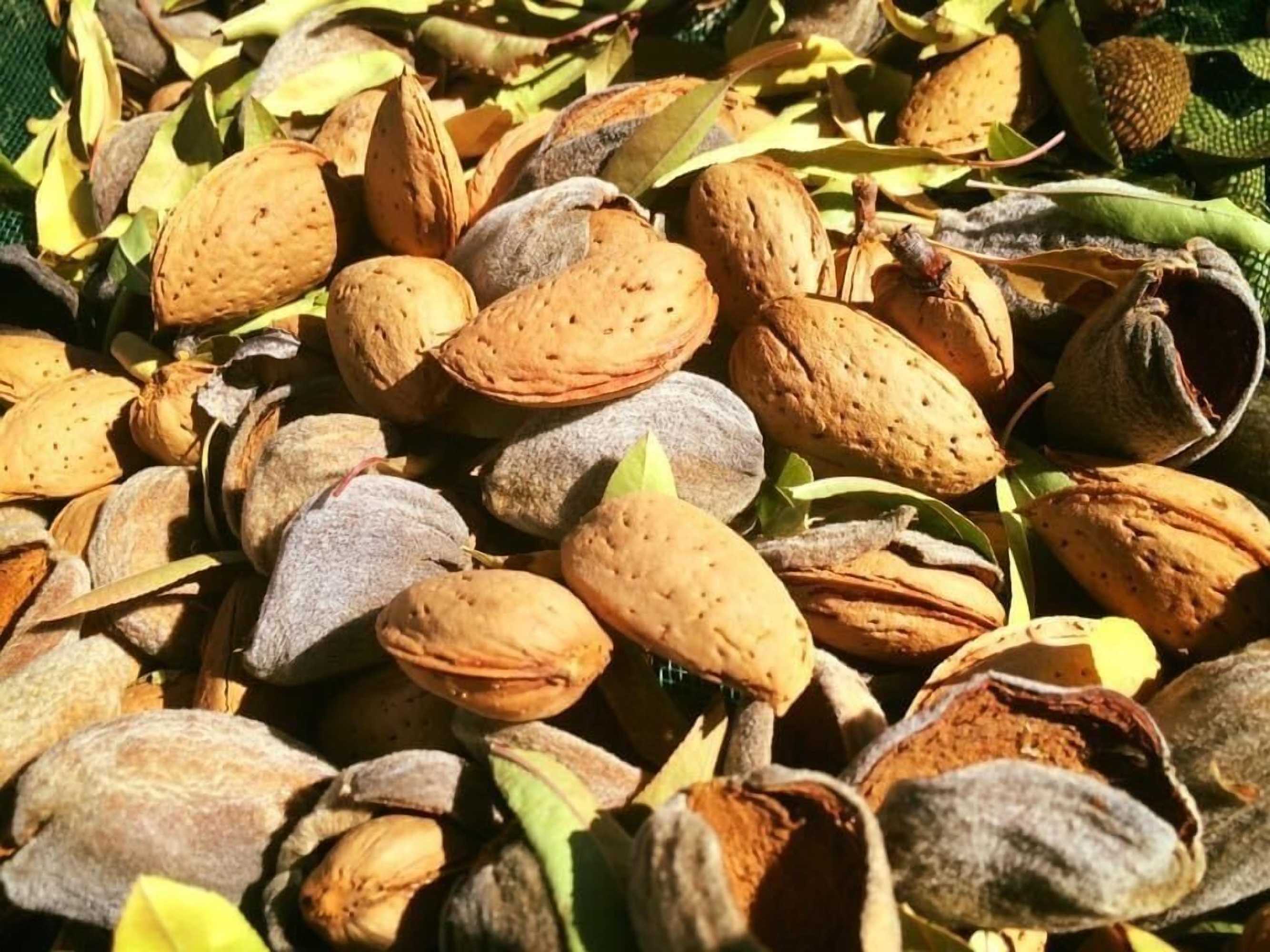 Gift card for Quinta da Pereira