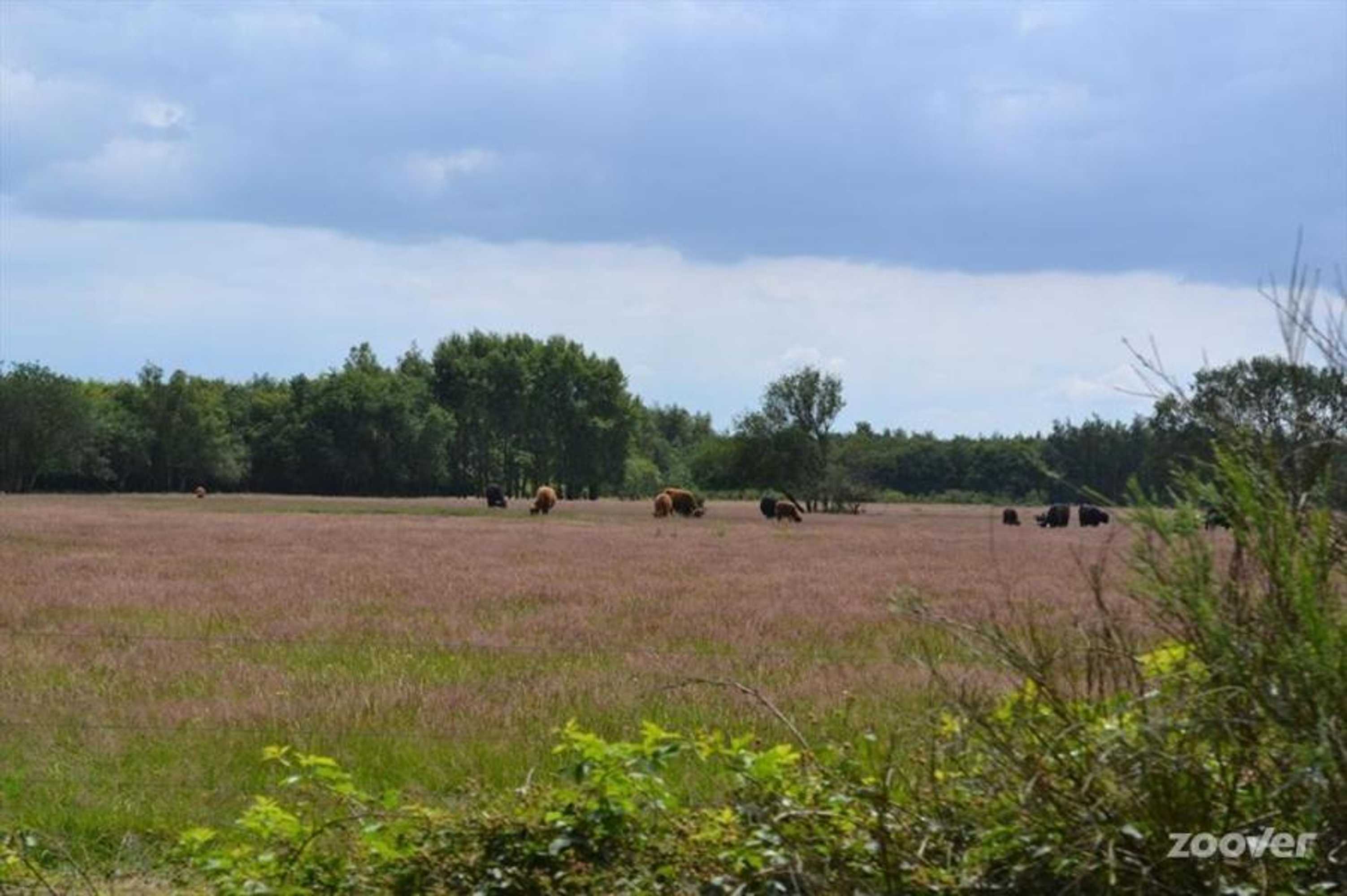 Gift card for Hotel Udens Duyn