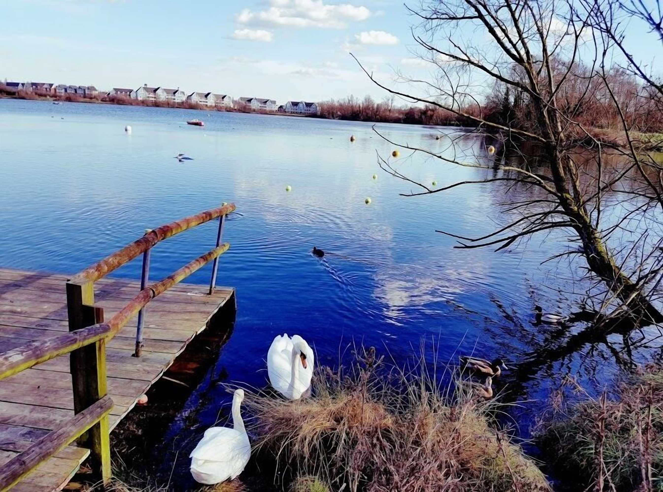 Gift card for Mallard Cottage