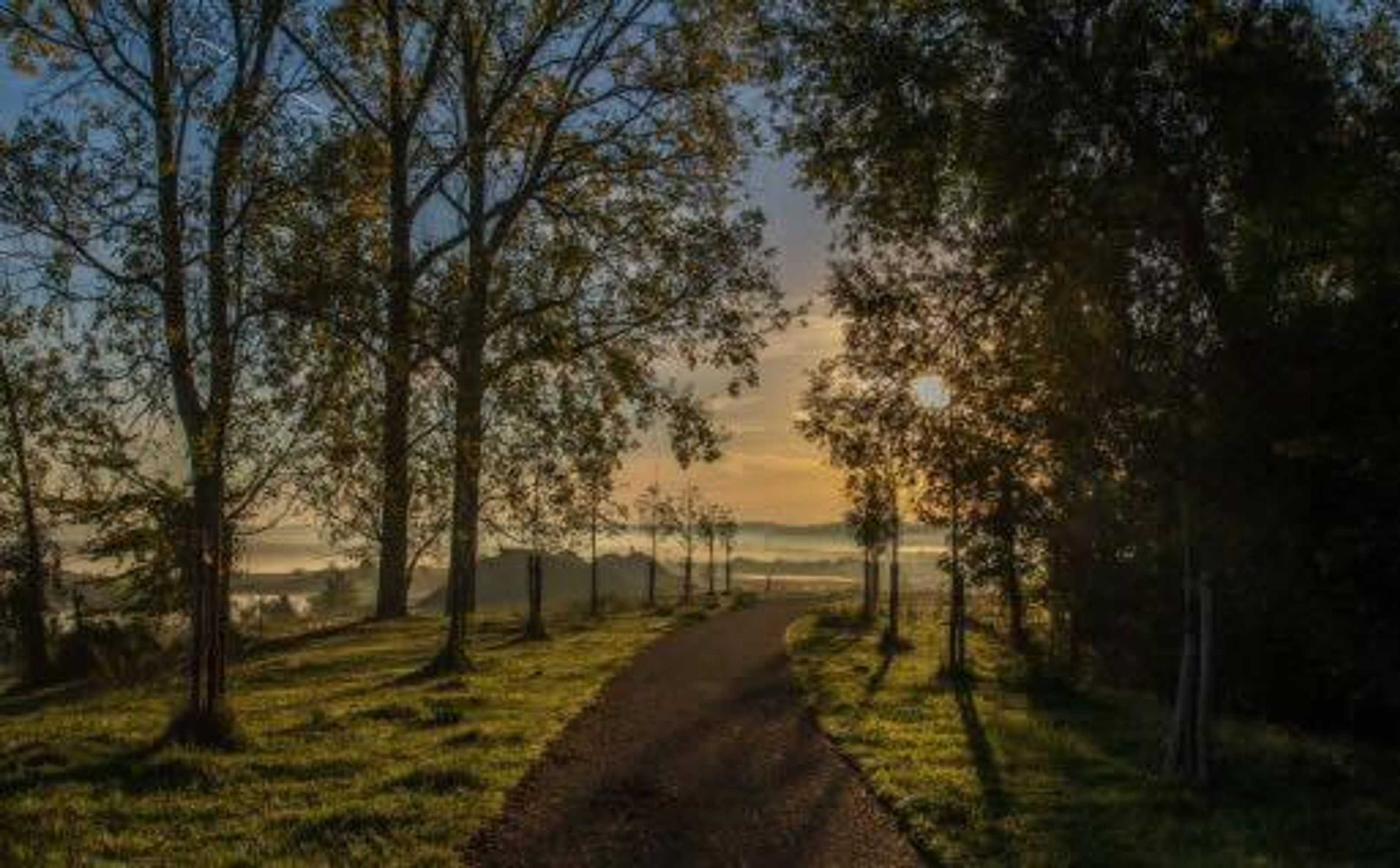 Gift card for Hotel De Maretak