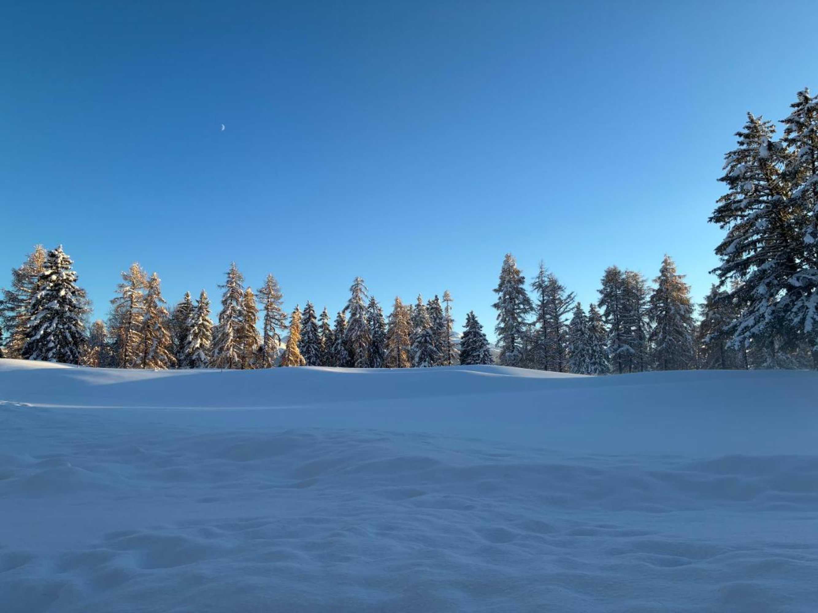 Gift card for Sport Palace