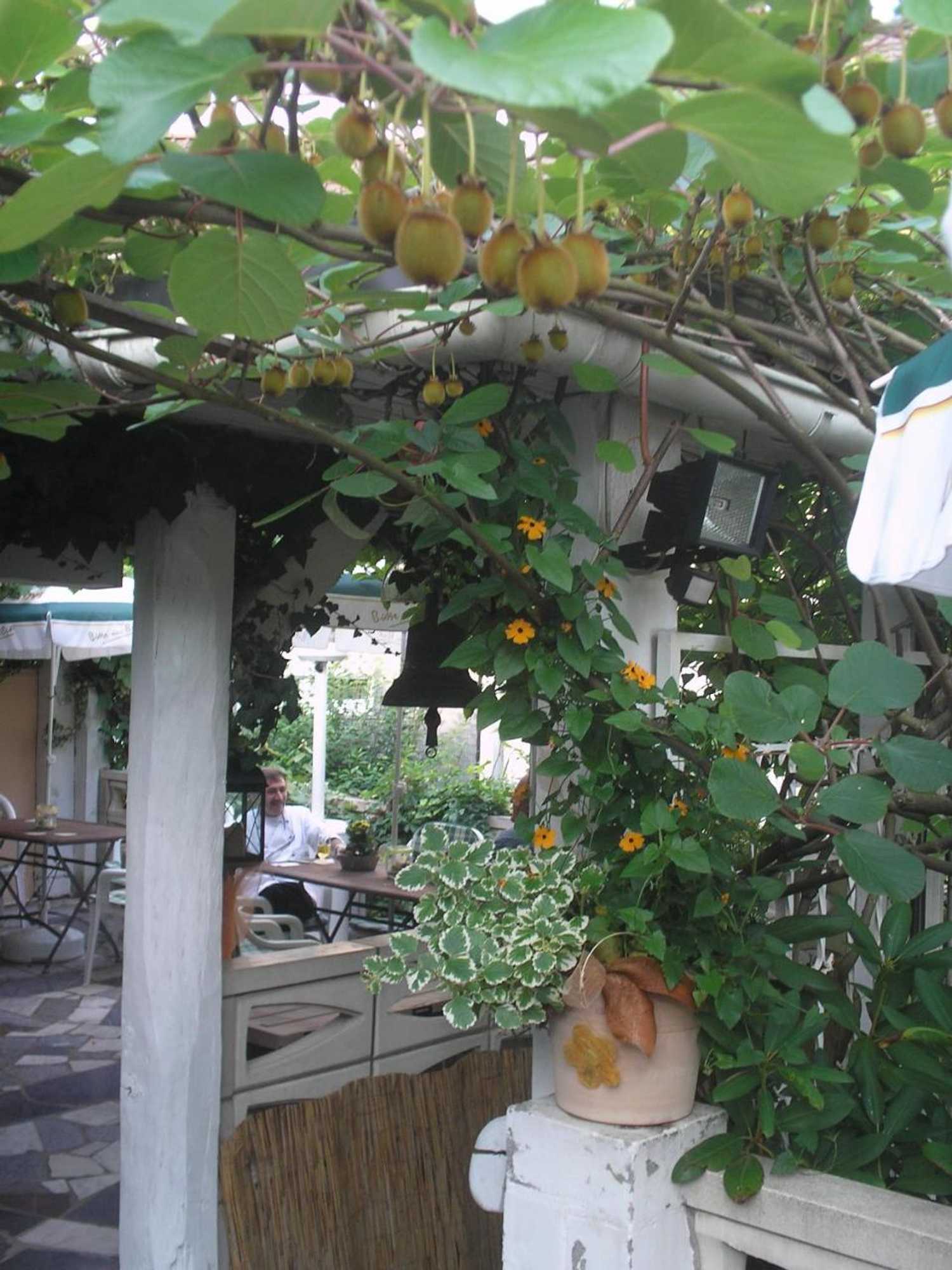 Gift card for Hotel Nassauer Hof