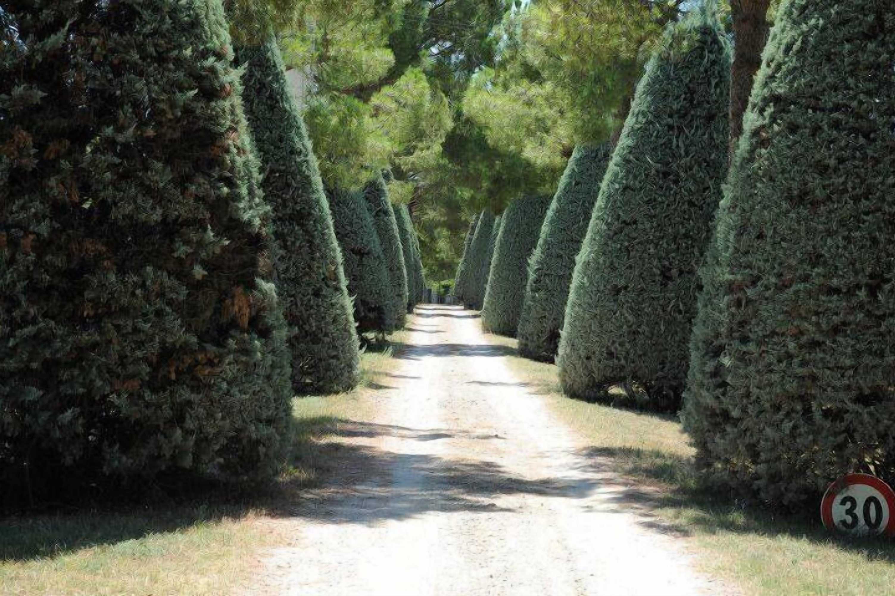 Gift card for Agriturismo al Colle Gift card for Agriturismo al Colle