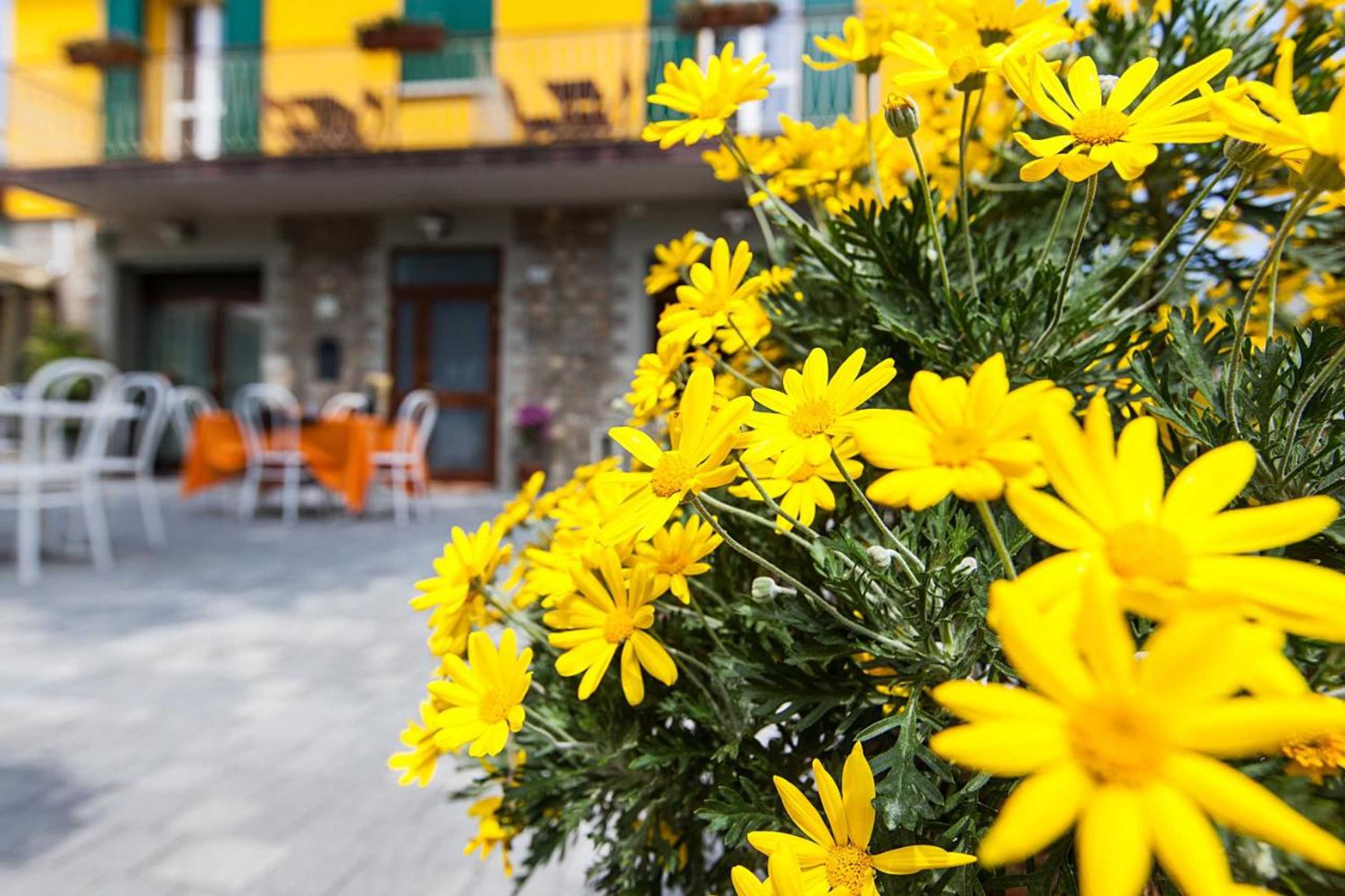 Gift card for Osteria da Cesare e Locanda