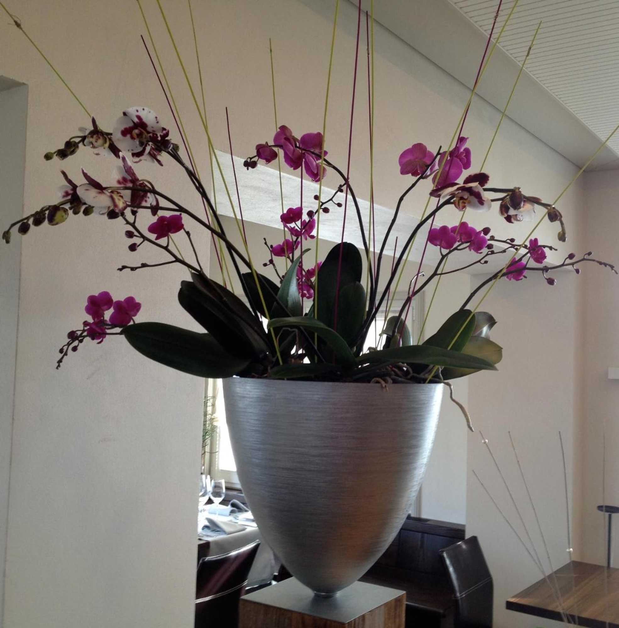 Gift card for Gasthaus Zum Bahnhof