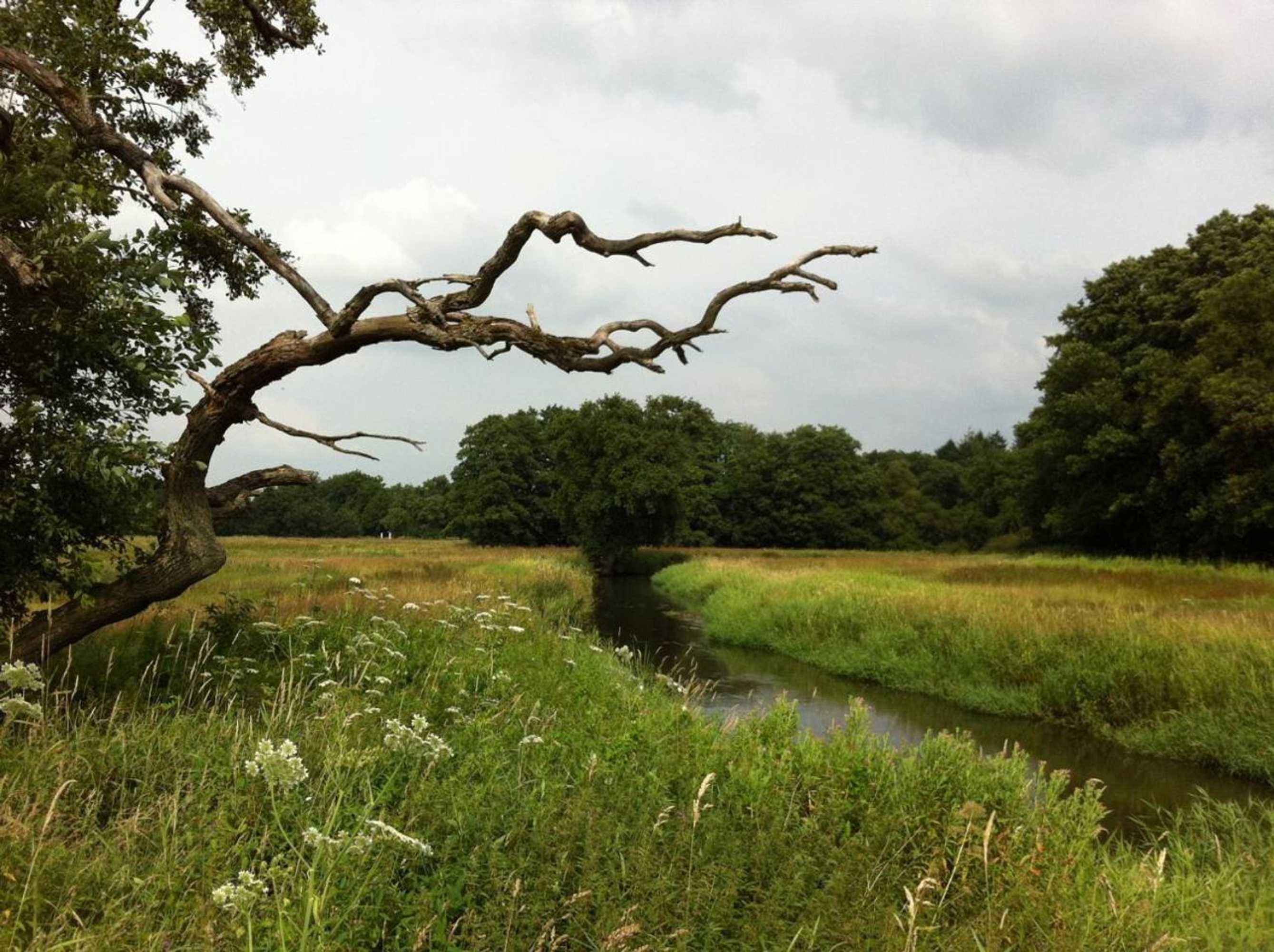 Gift card for Herberg De Fazant