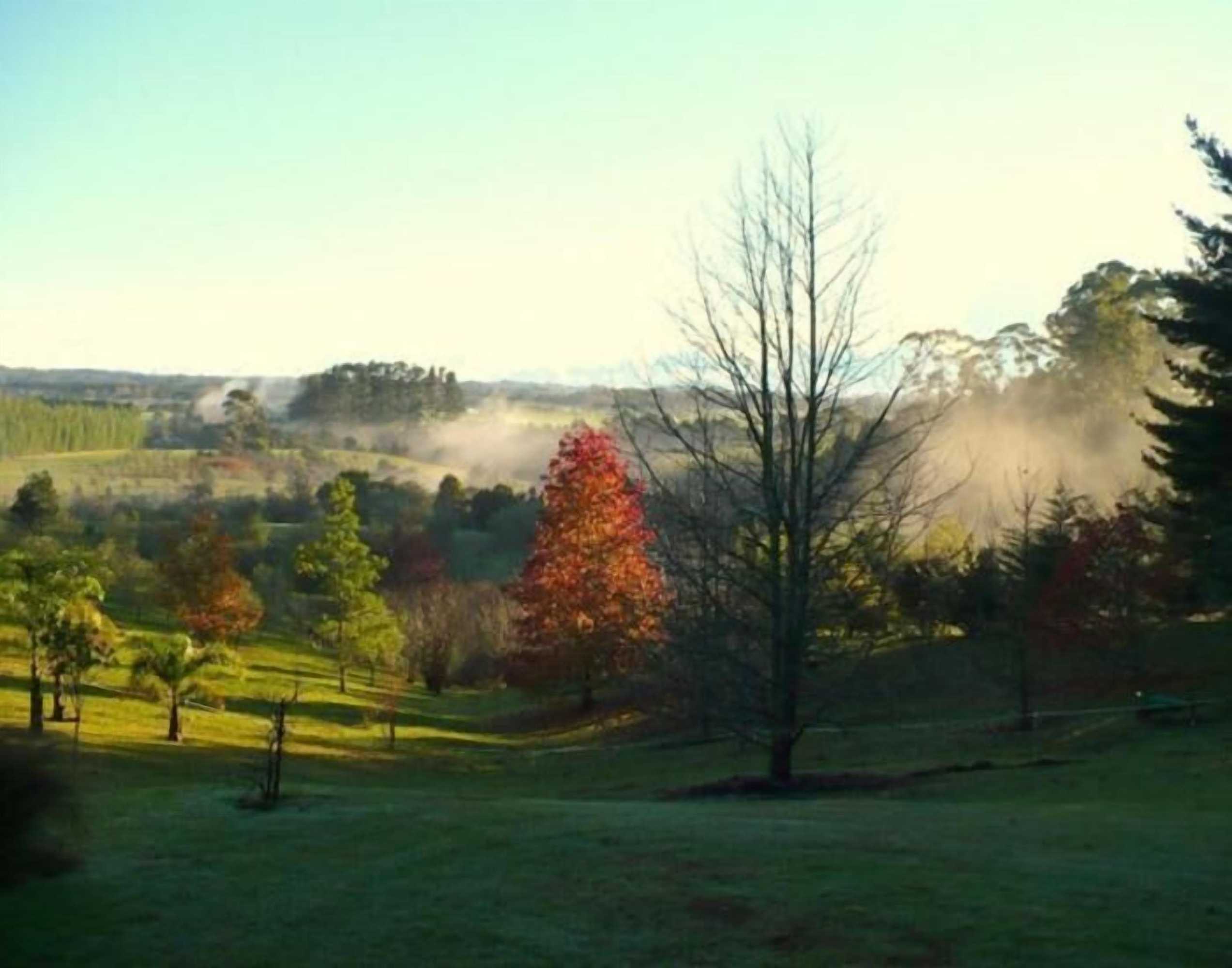 Gift card for Puketotara Lodge