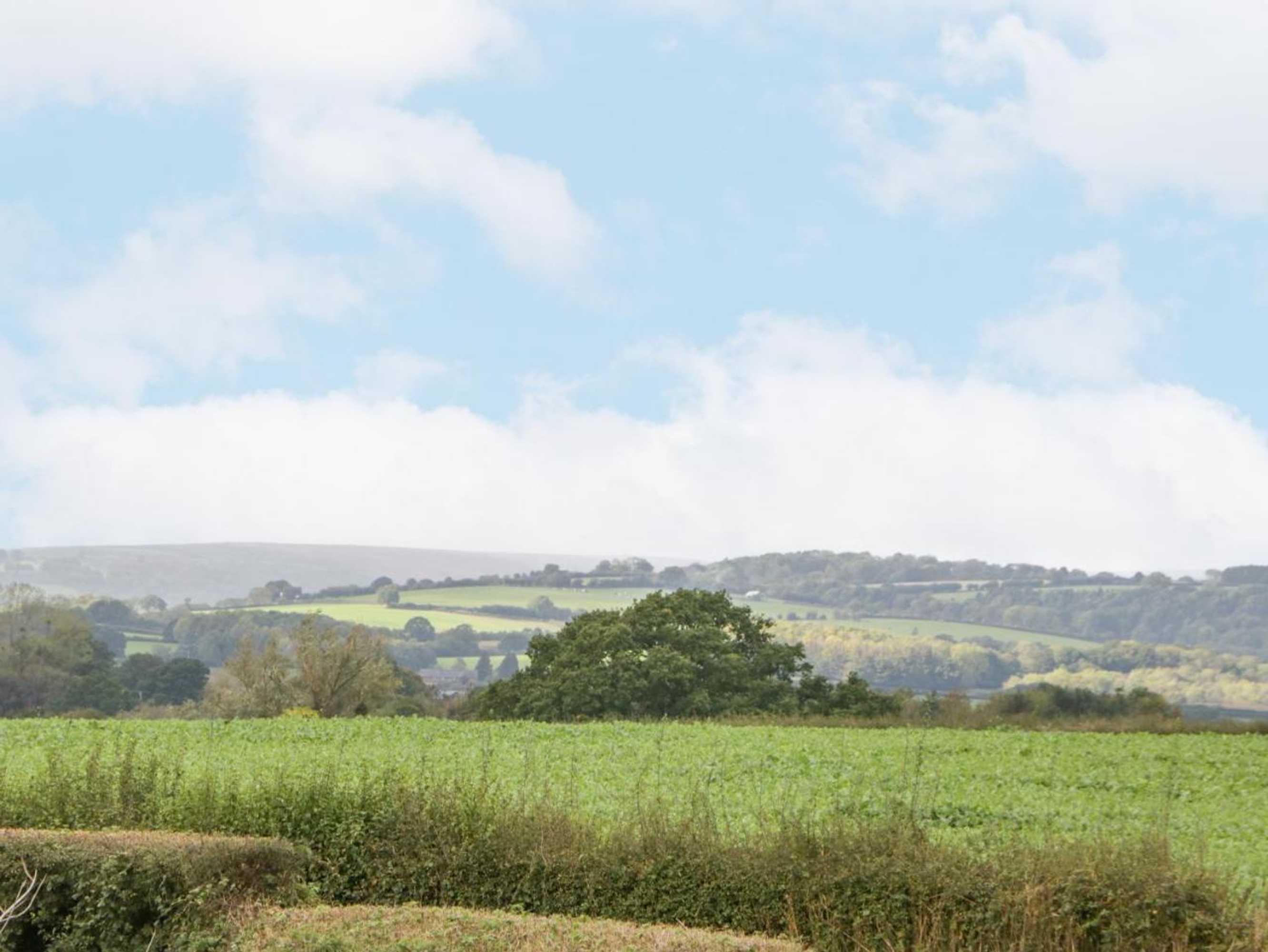 Gift card for The Pheasant One