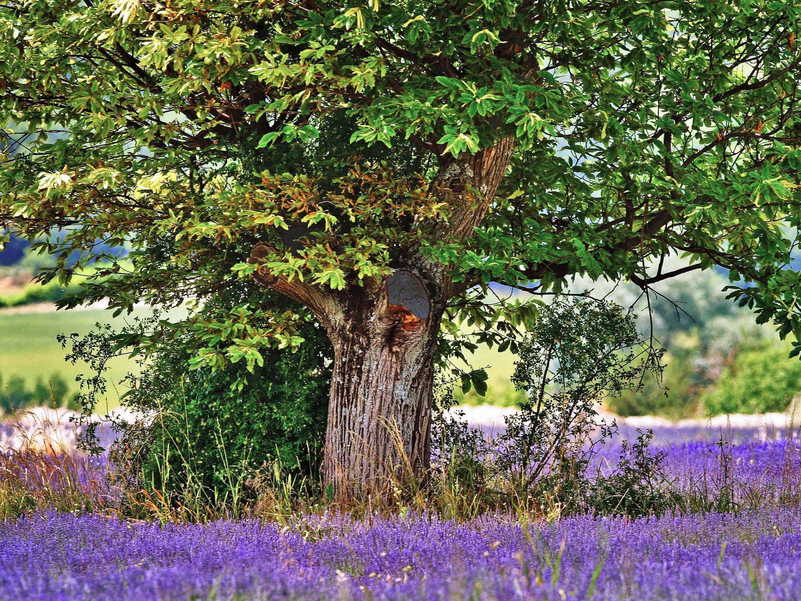 Gift card for Hotelf1 Aix en Provence Sainte Victoire Hotel Gift card for Hotelf1 Aix en Provence Sainte Victoire Hotel