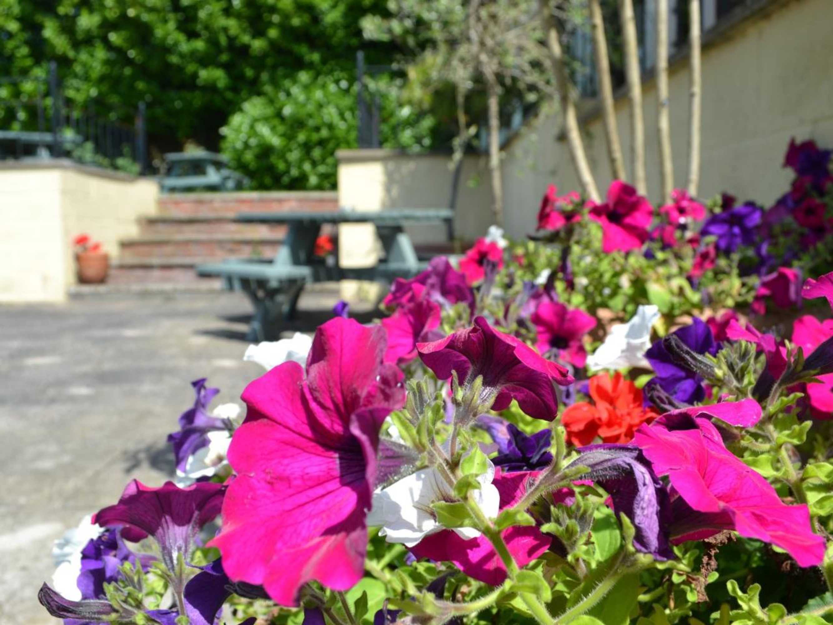 Gift card for The Tap House