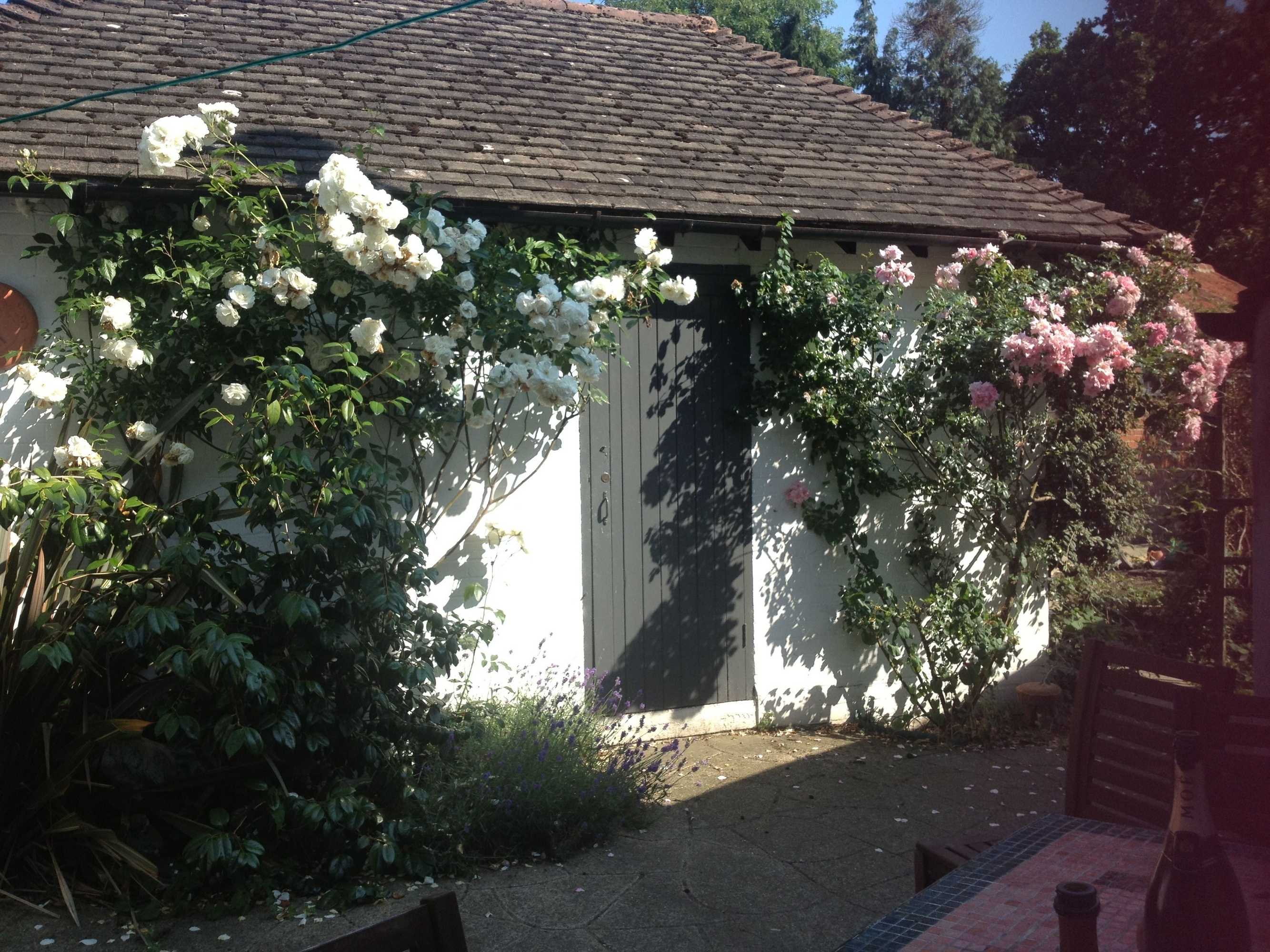 Gift card for West End Lodge