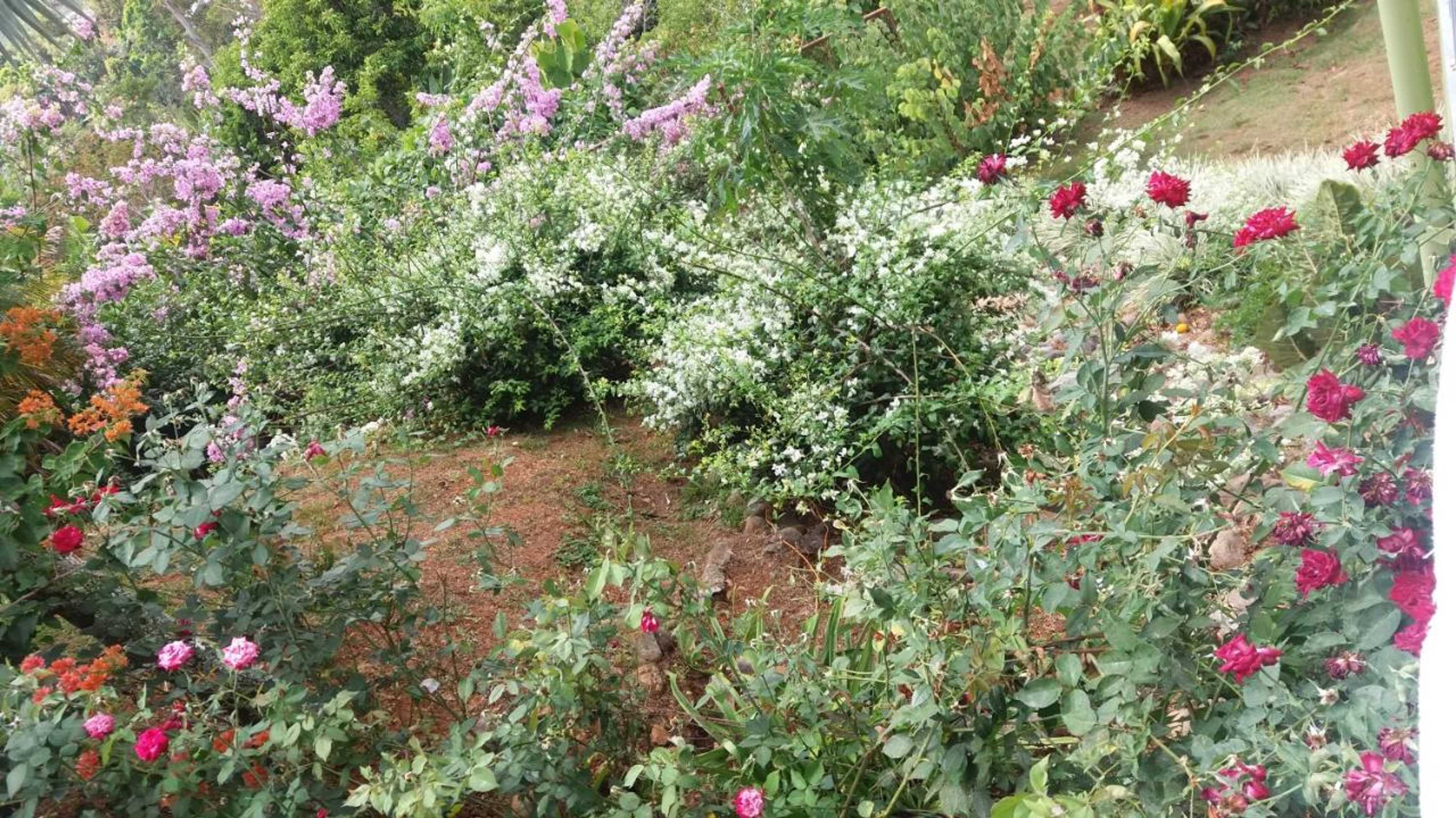 Gift card for La Princesa Hotel Gift card for La Princesa Hotel