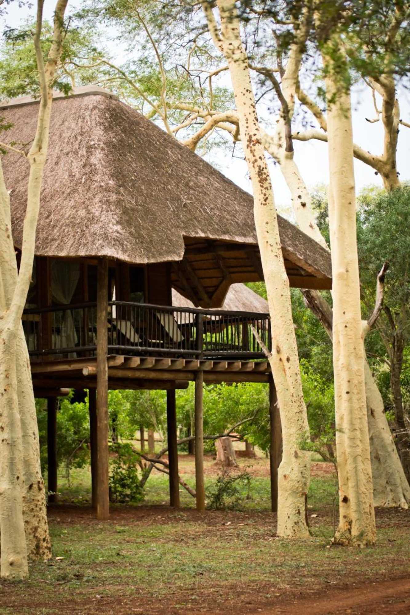 Gift card for Ubizane Zululand Tree Lodge
