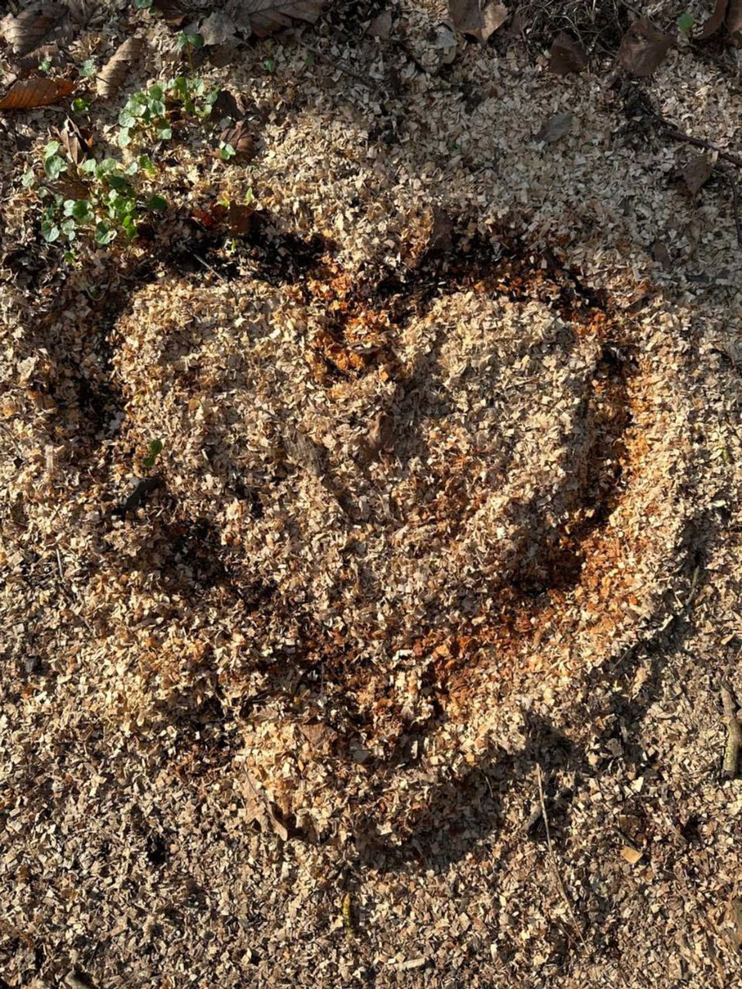 Gift card for Hotel & Restaurant Wittekindsquelle