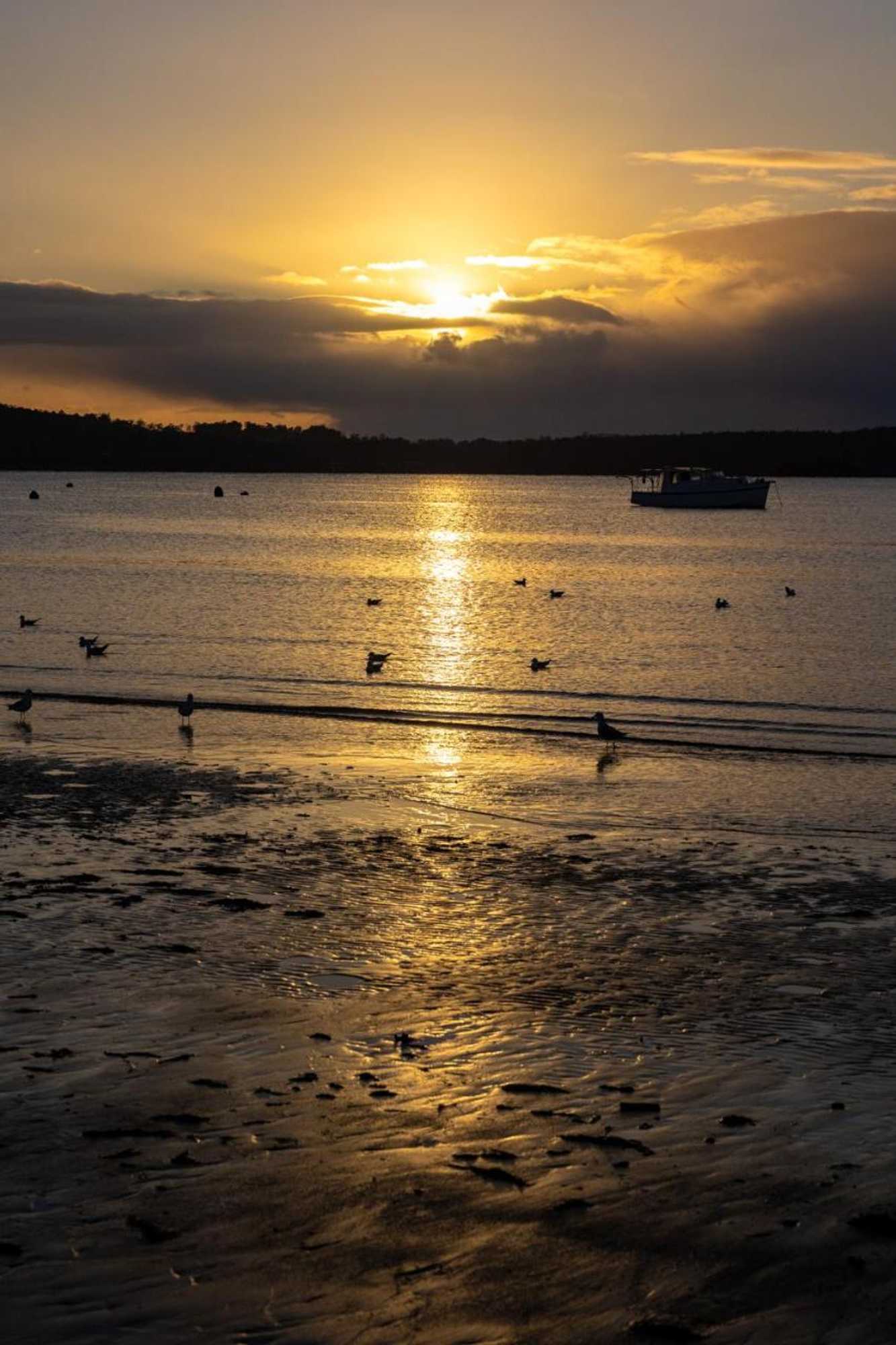 Gift card for Tides Reach - Essentially Tas Dover