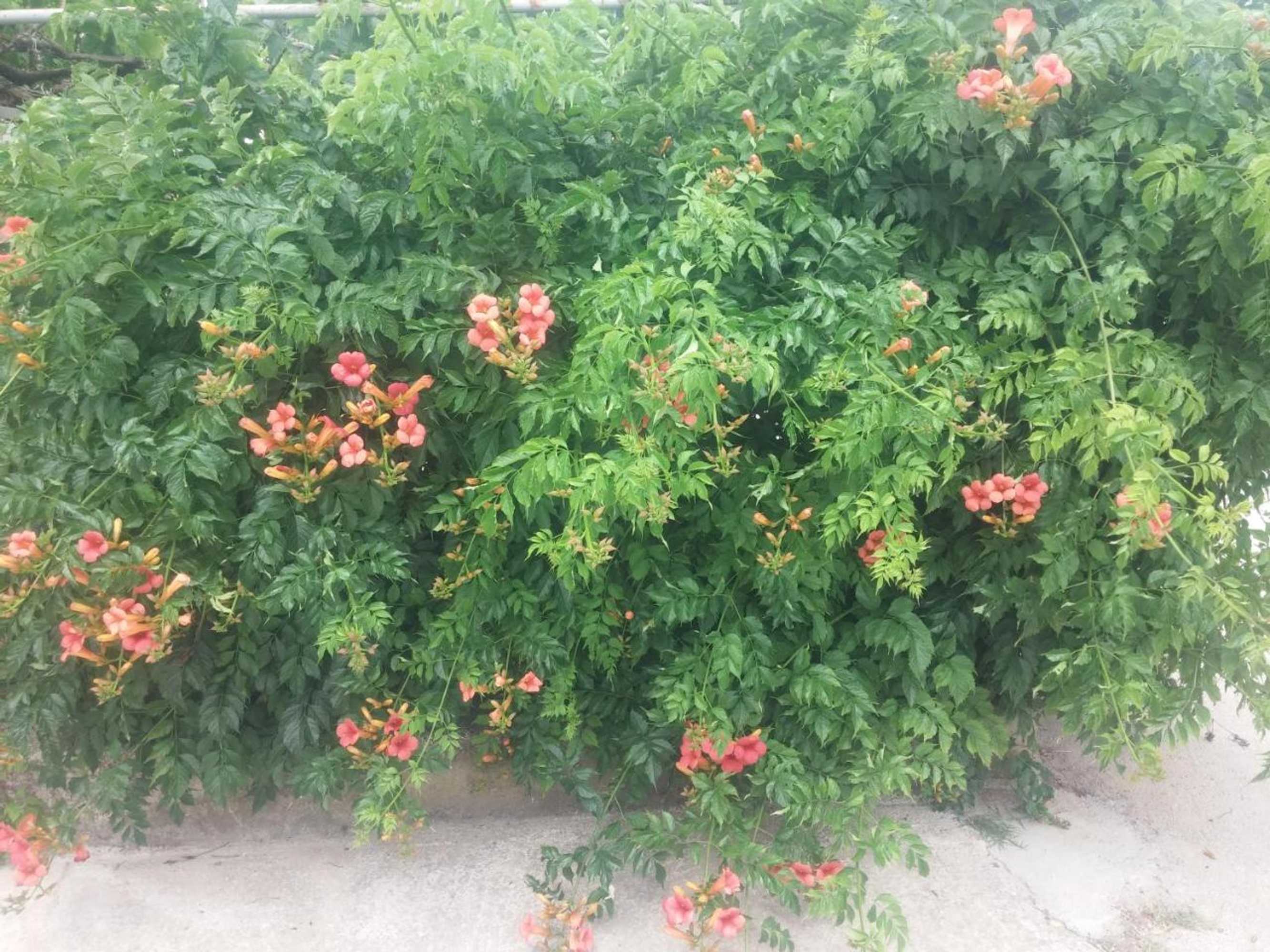 Gift card for Apartments Manuela