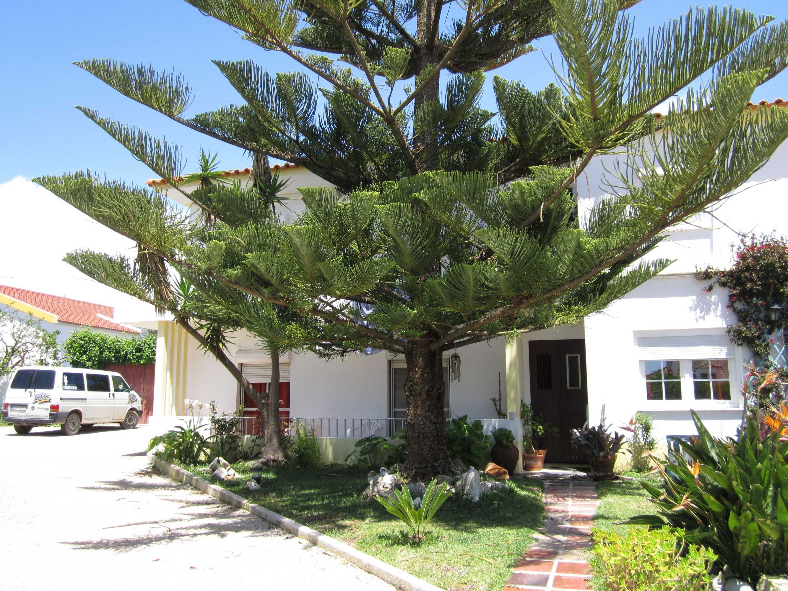 Gift card for Matias Terrace House