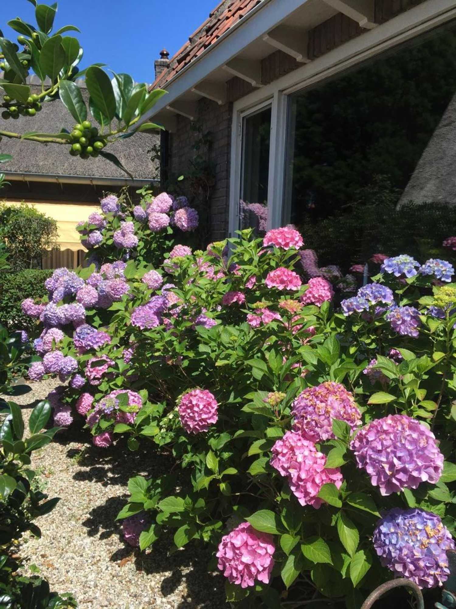 Gift card for The Livingrooms Laren