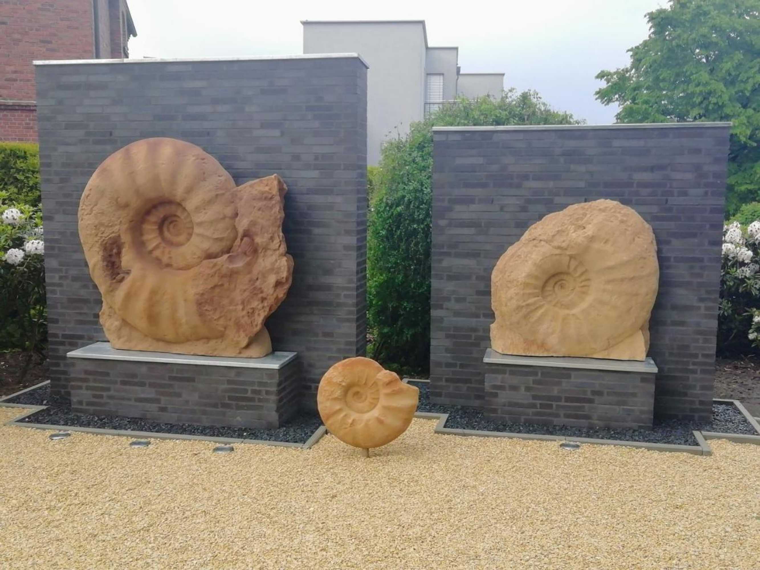 Gift card for Ferienwohnung Und -Zimmer Becks