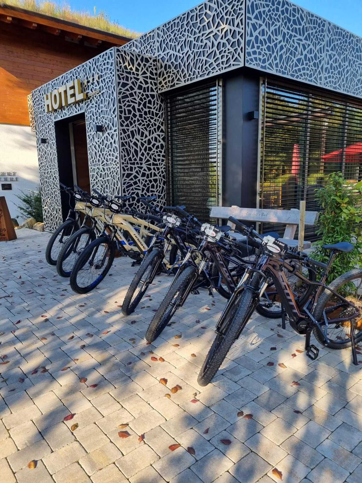 Gift card for Steig-Alm Hotel