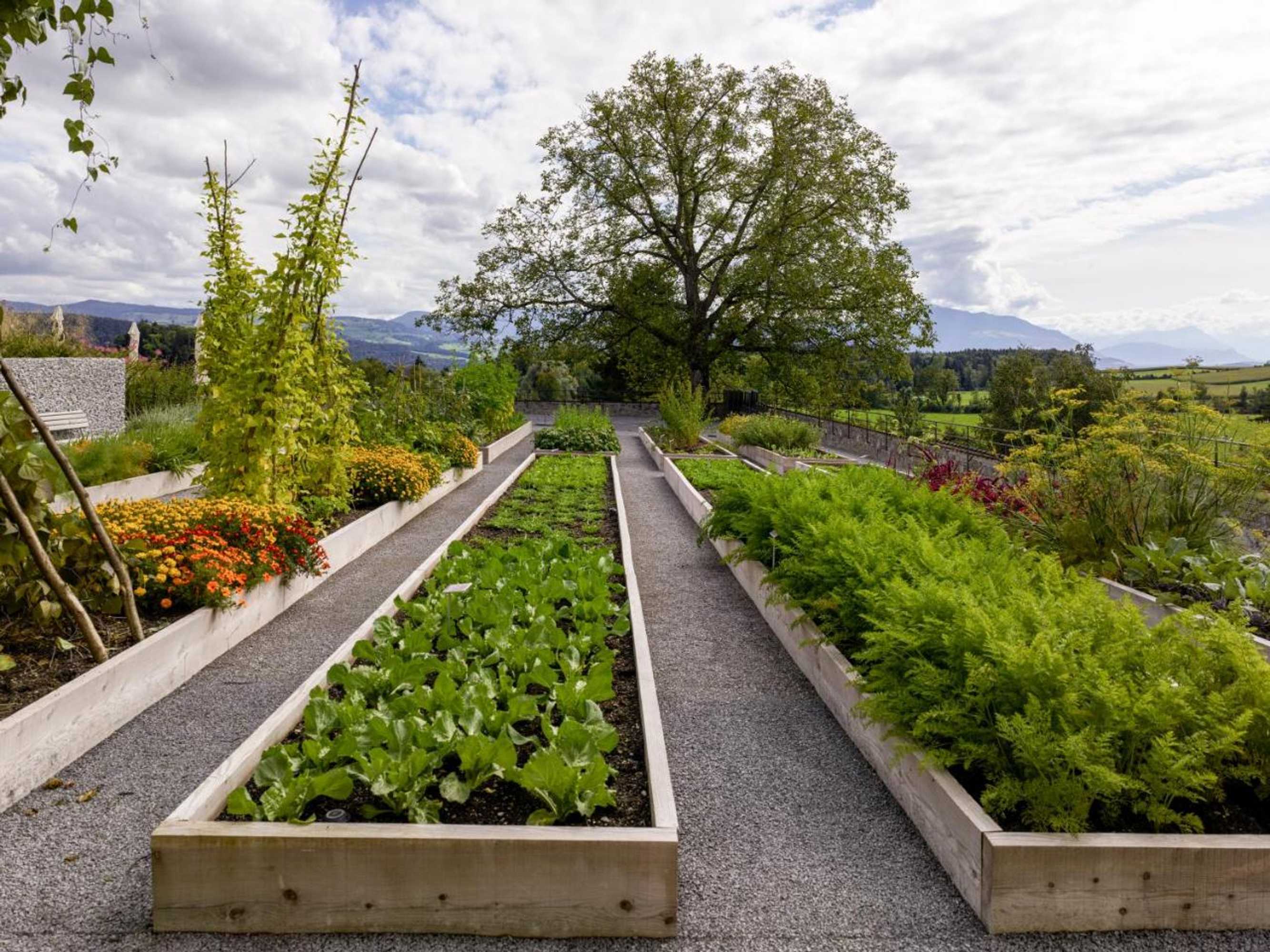 Gift card for Kloster Kappel