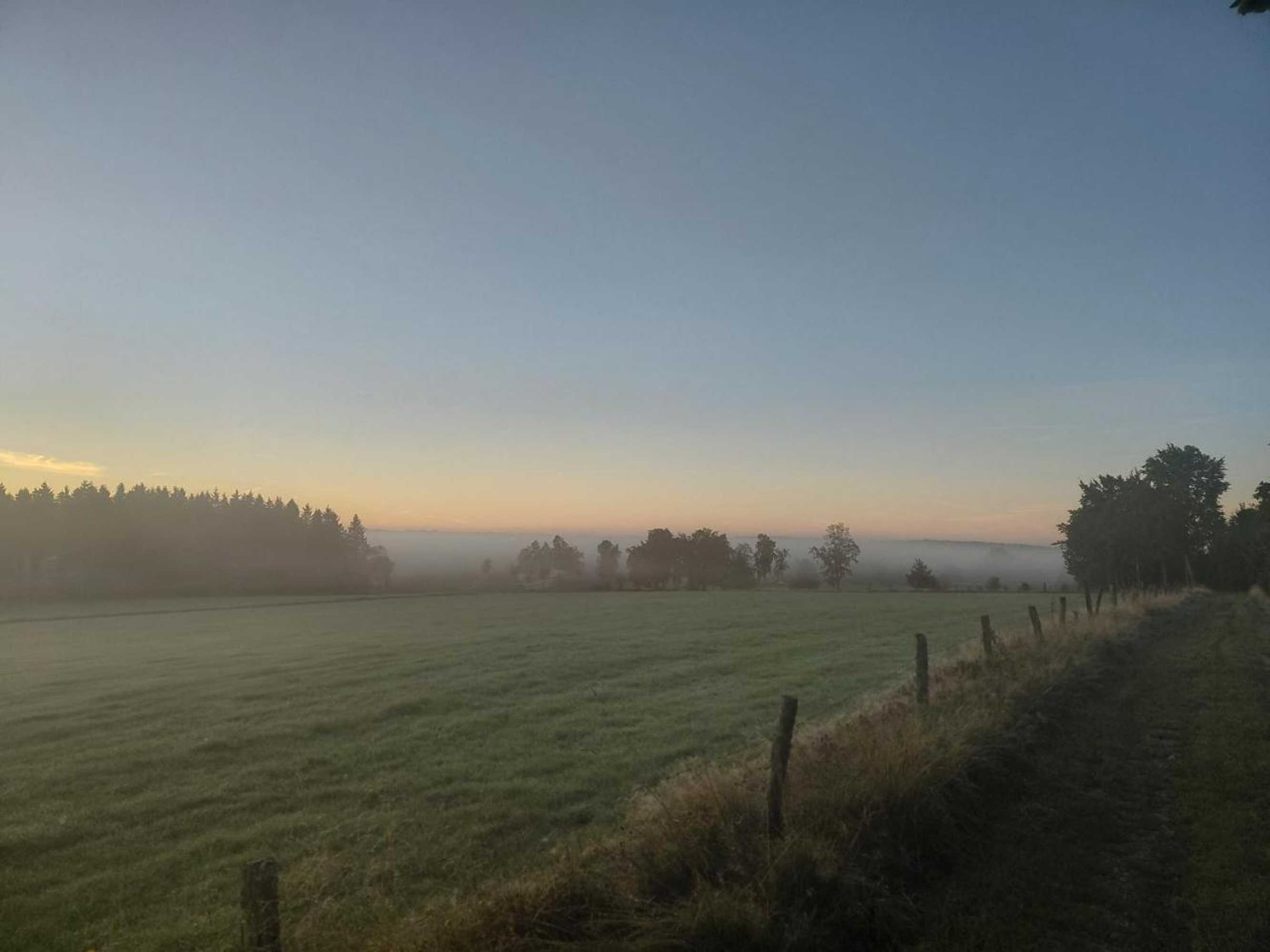 Gift card for Der Hirsch