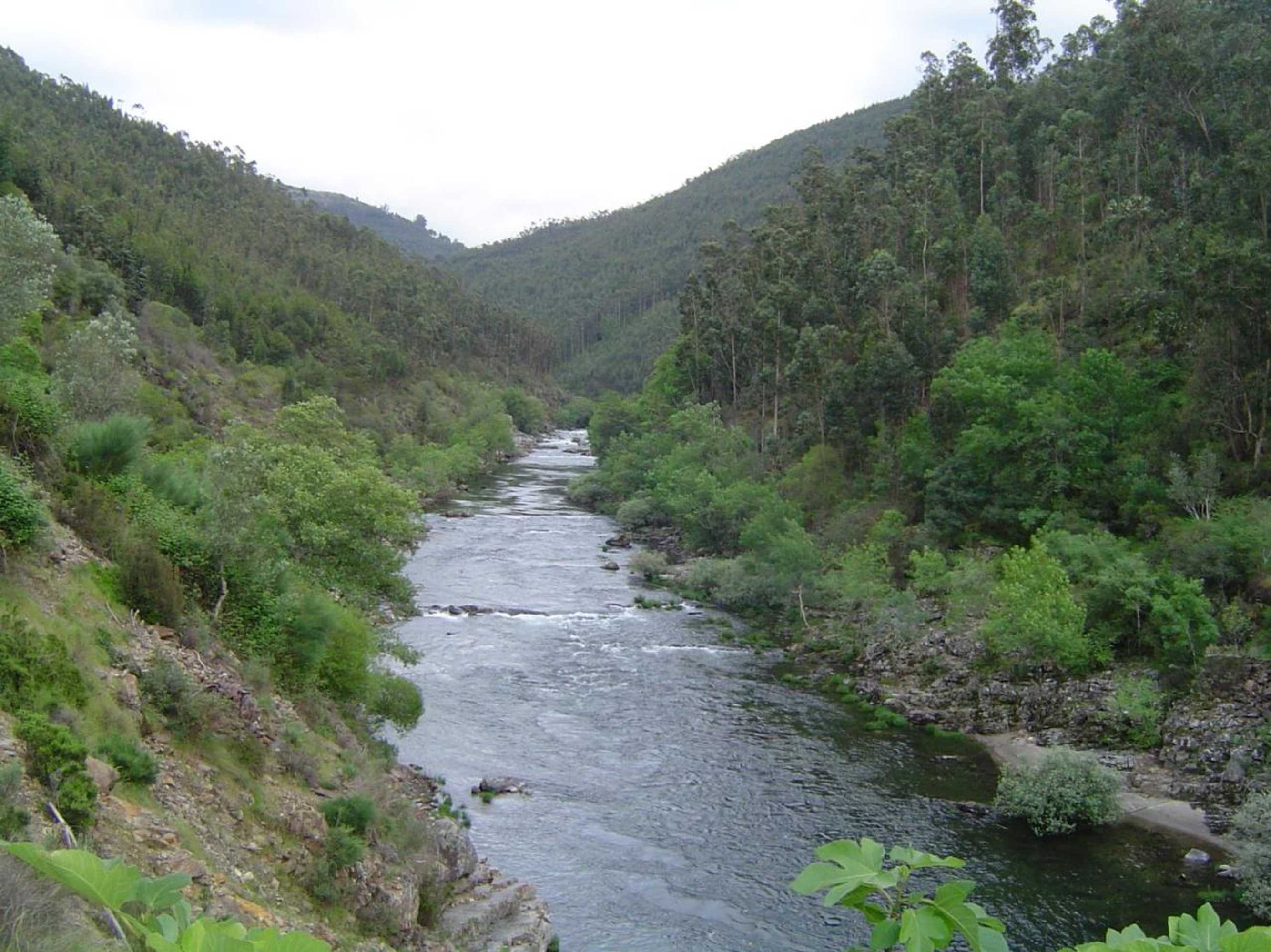 Gift card for Casa do Pinto