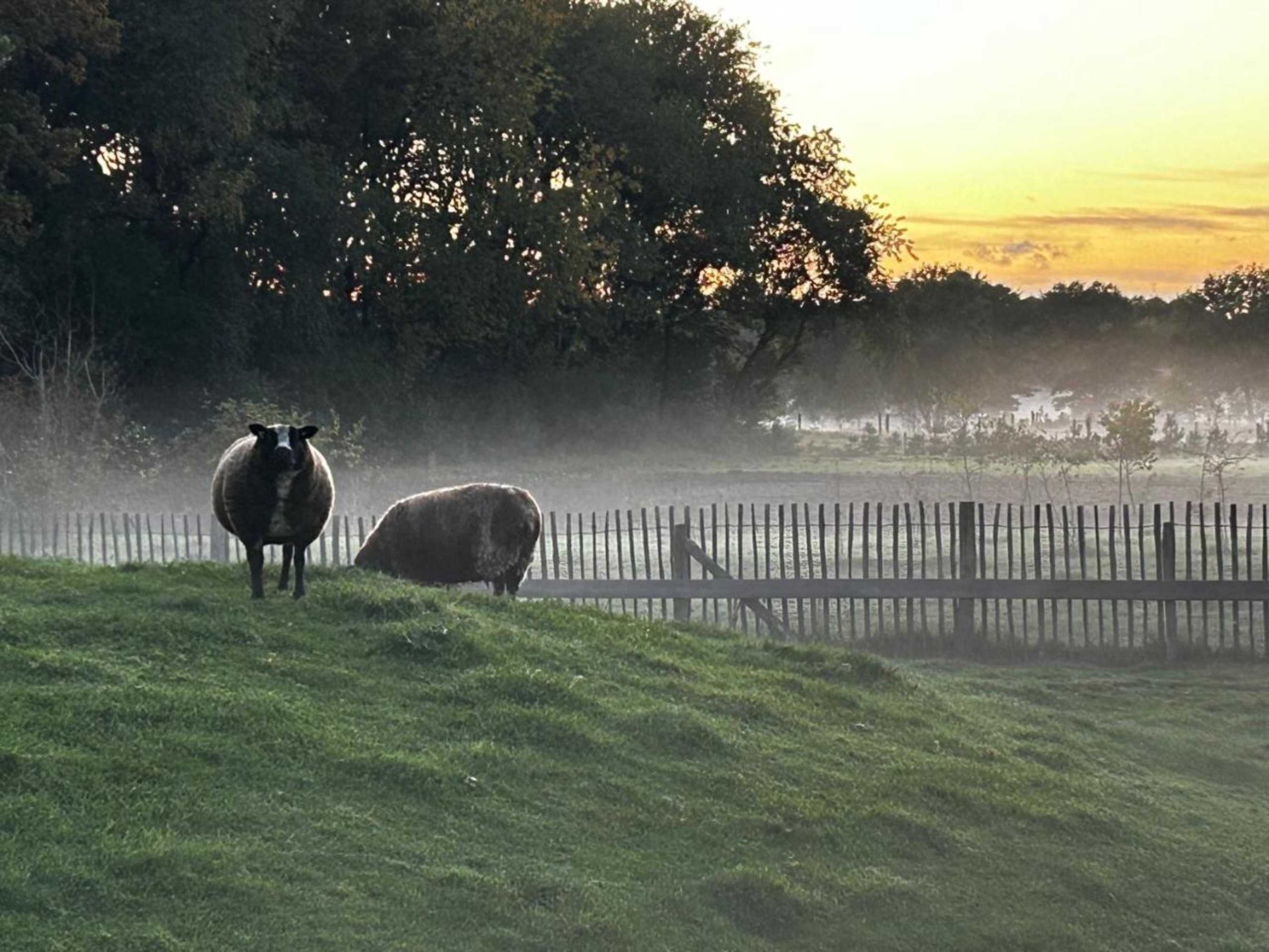 Gift card for Duynparc Soest