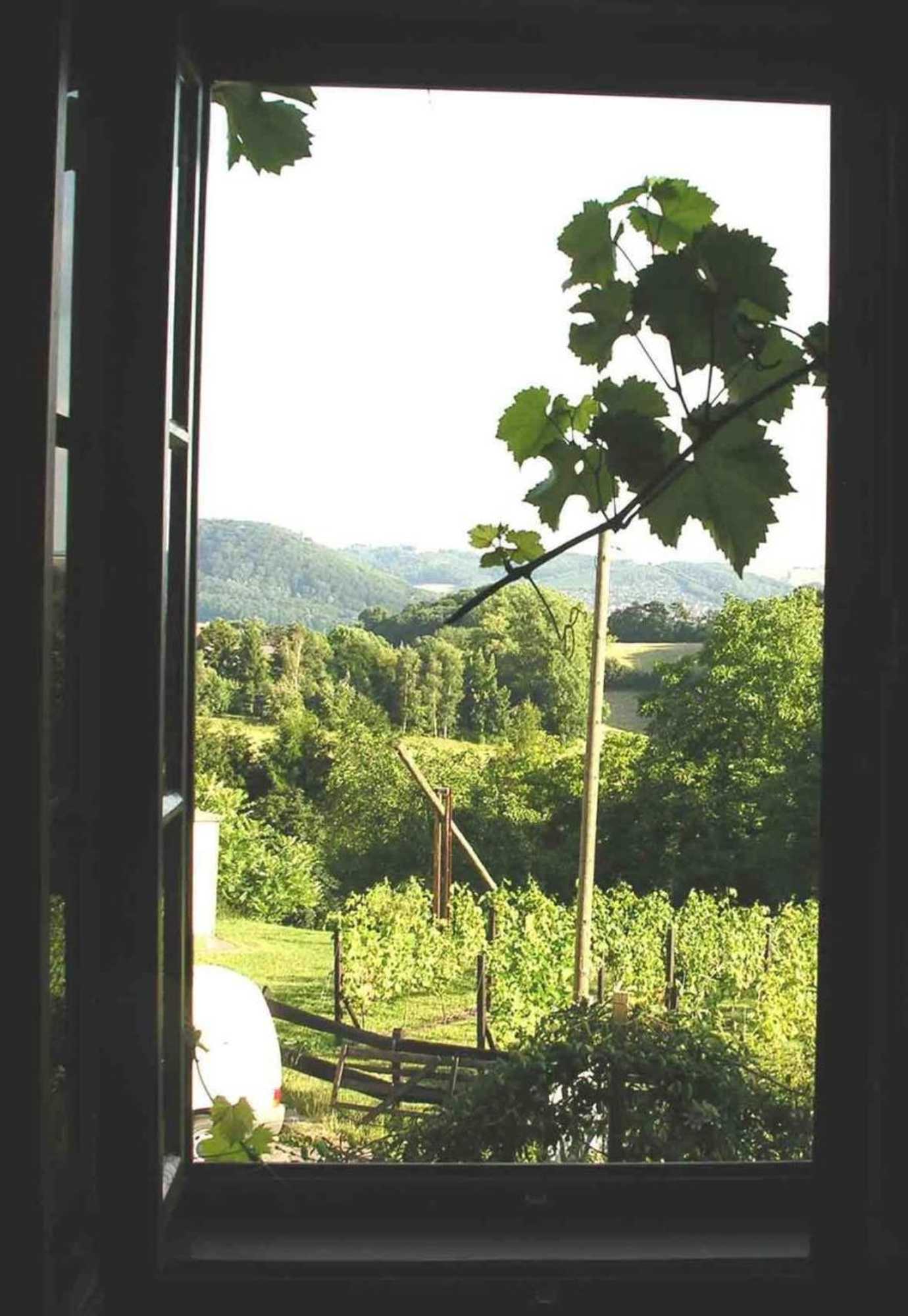 Gift card for In Der Alten Weinstube