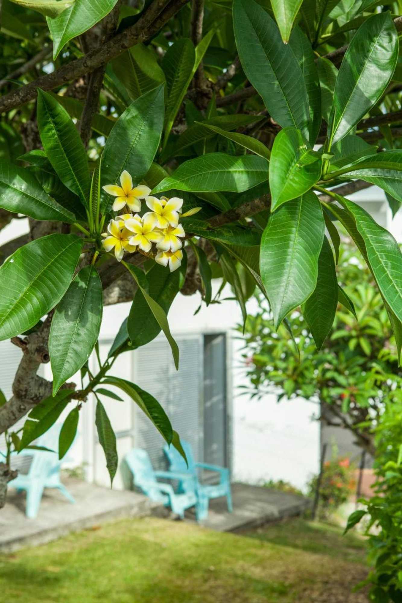 Gift card for Auberge Jeunesse Nouméa