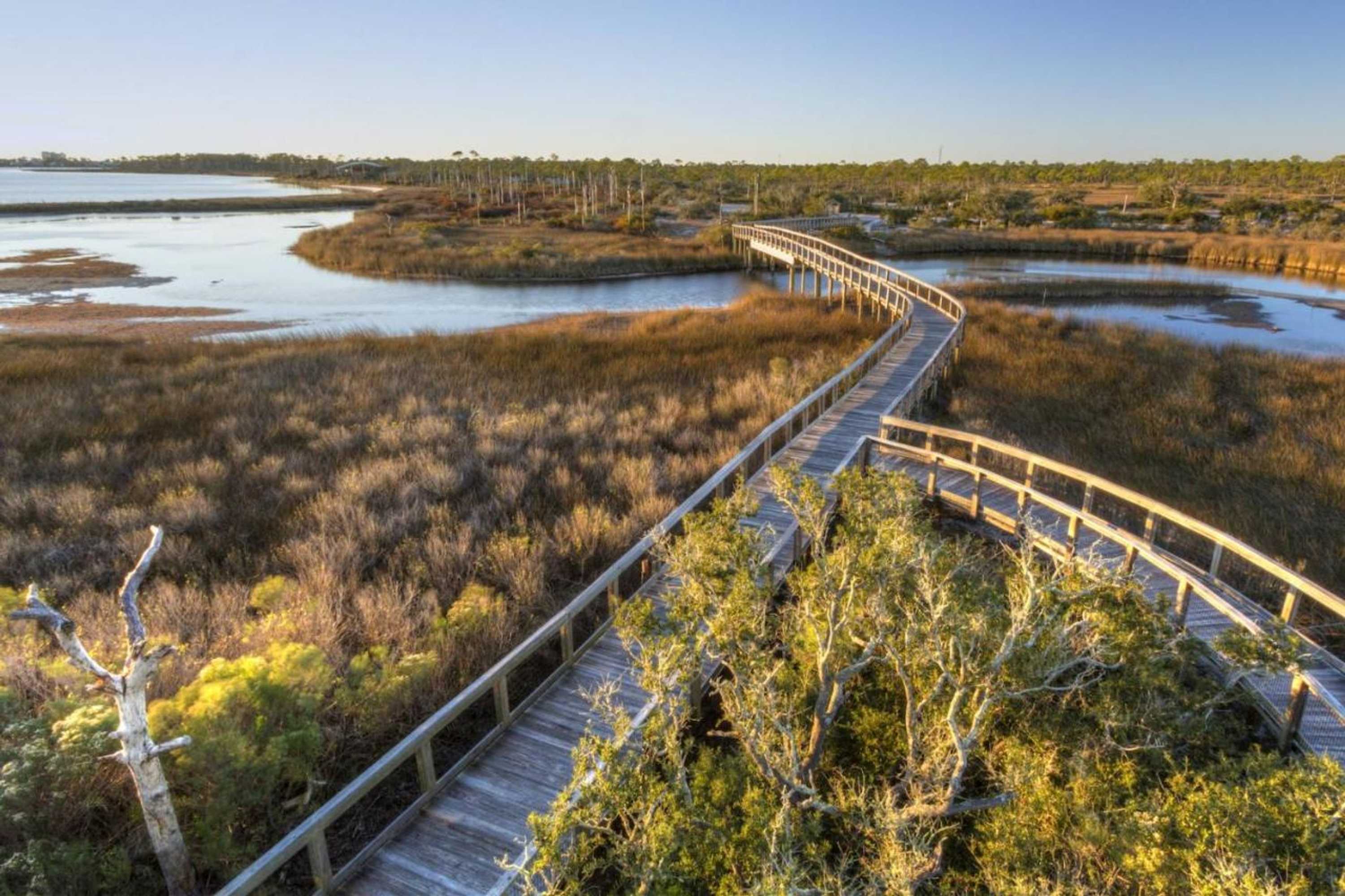 Gift card for Lone Oak House