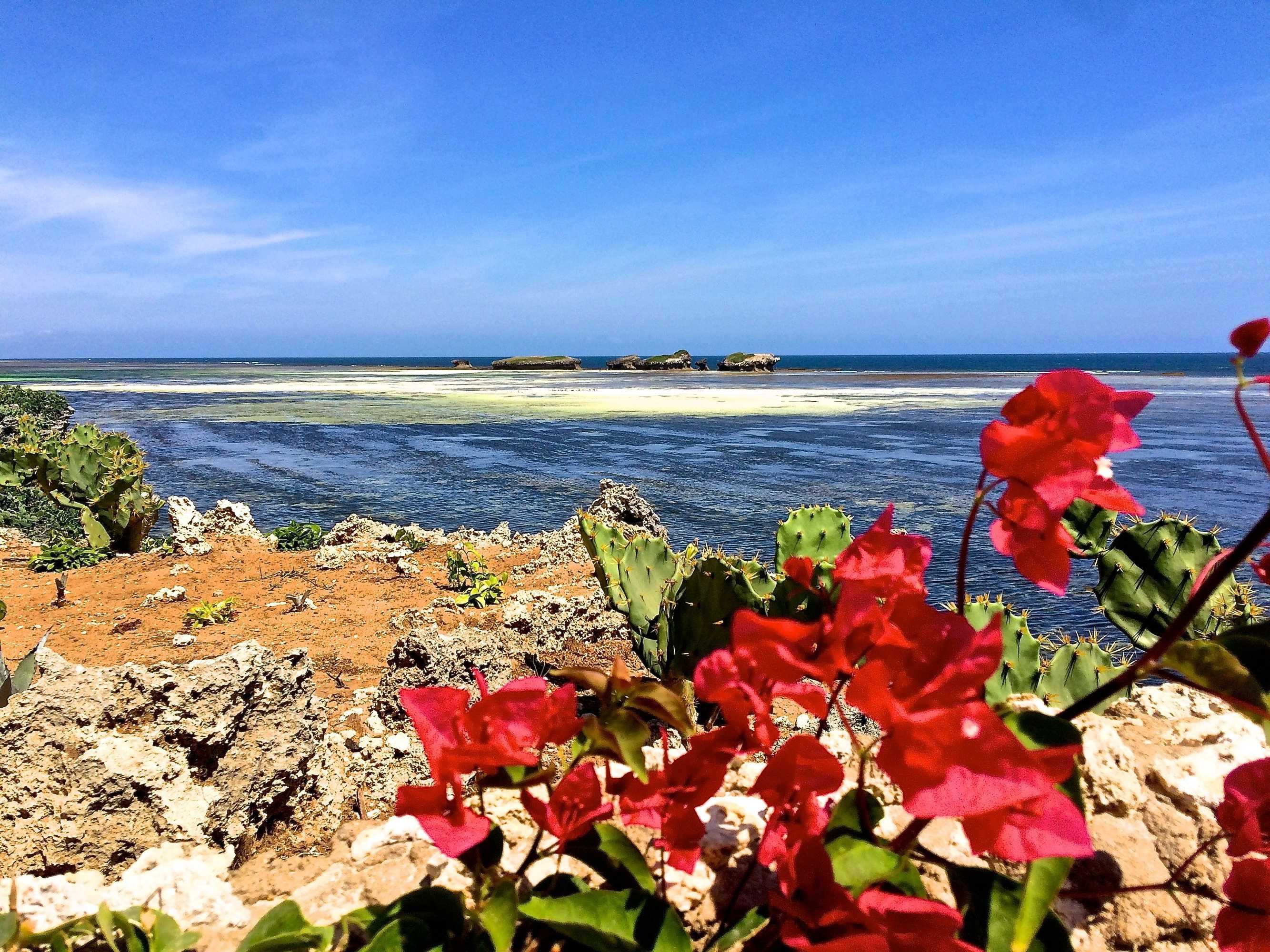 Gift card for Mawe Resort Watamu Boutique Hotel Gift card for Mawe Resort Watamu Boutique Hotel