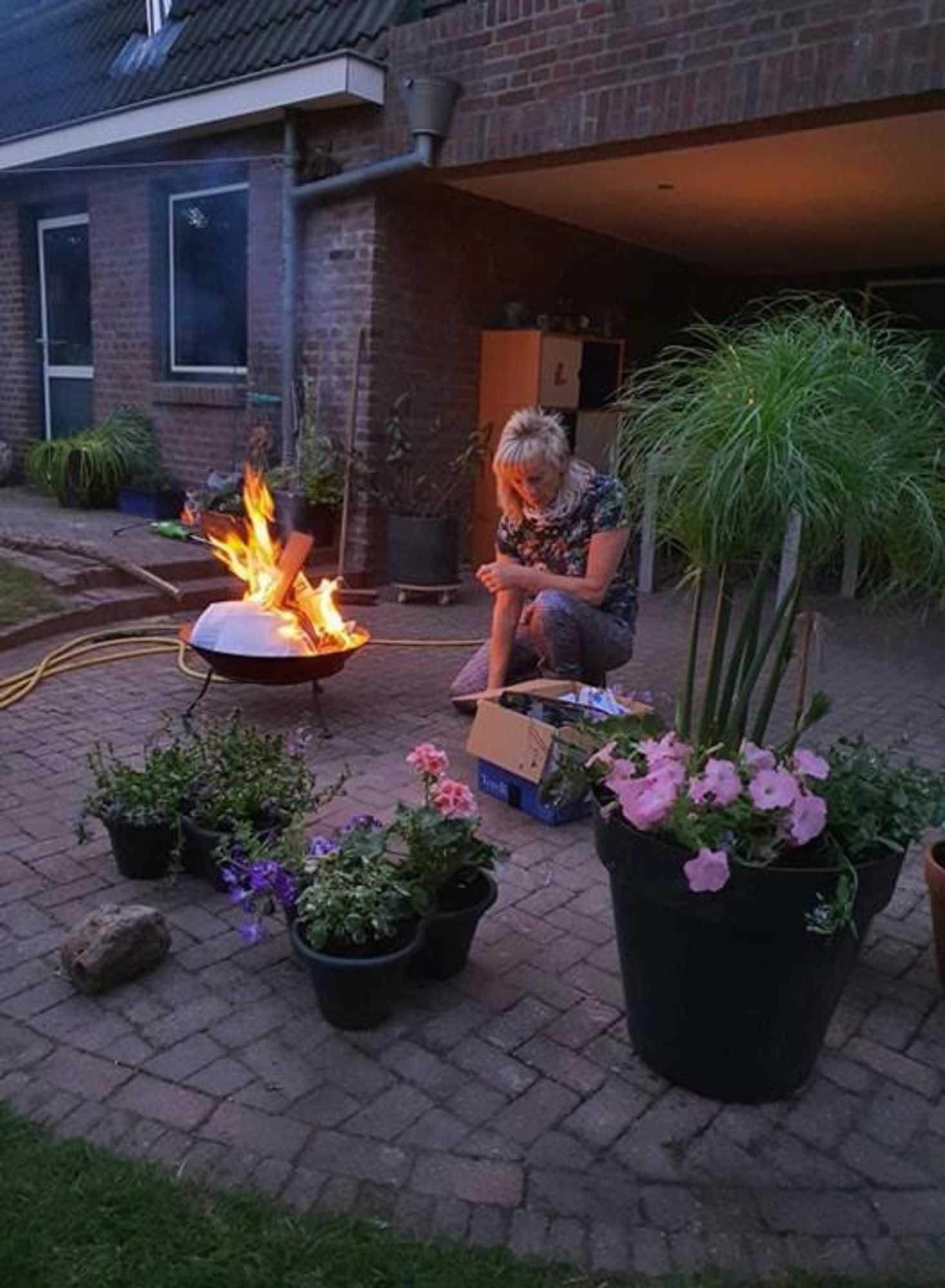 Gift card for De Vliegende Vlinder