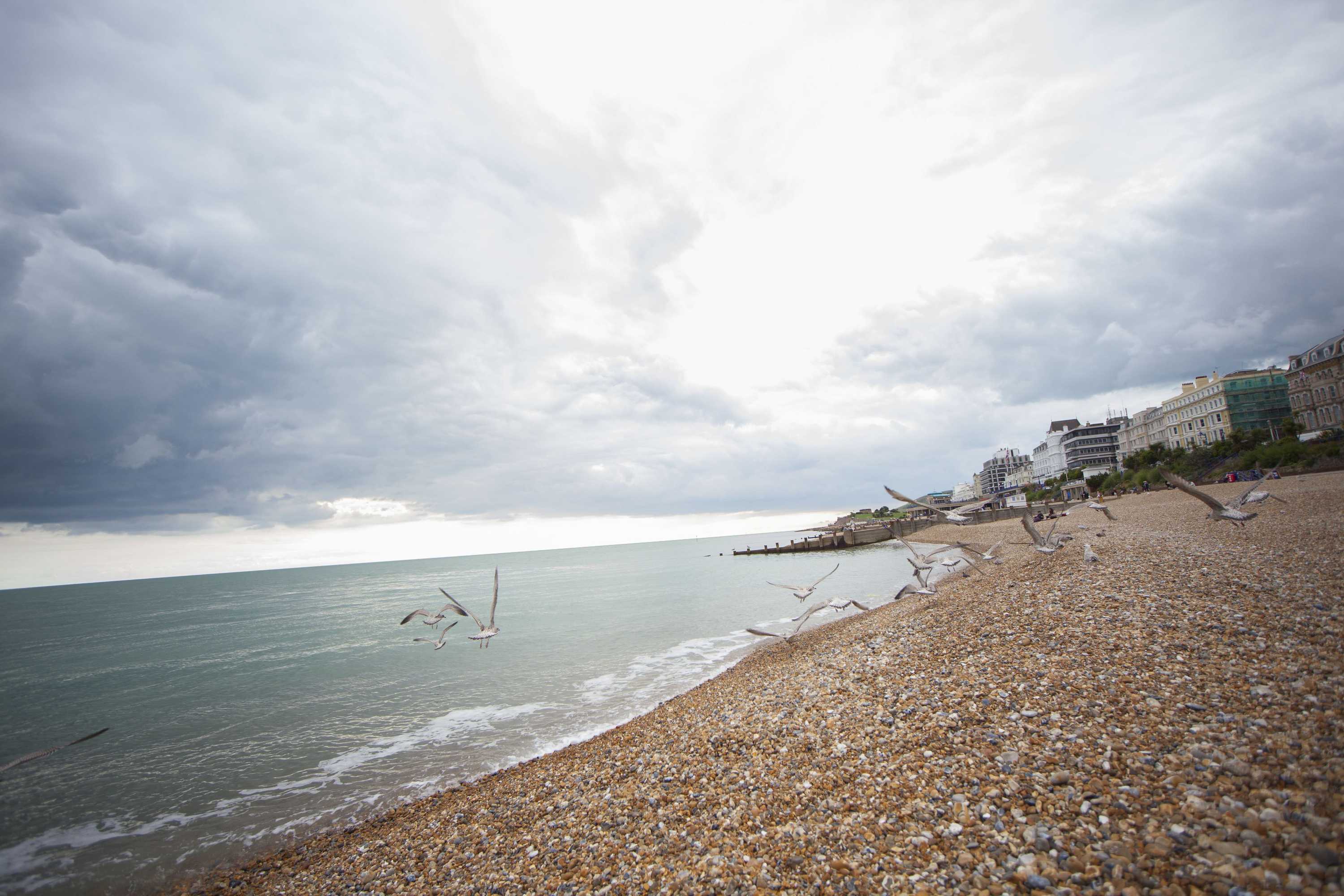 Gift card for Citrus Hotel Eastbourne by Compass Hospitality Gift card for Citrus Hotel Eastbourne by Compass Hospitality