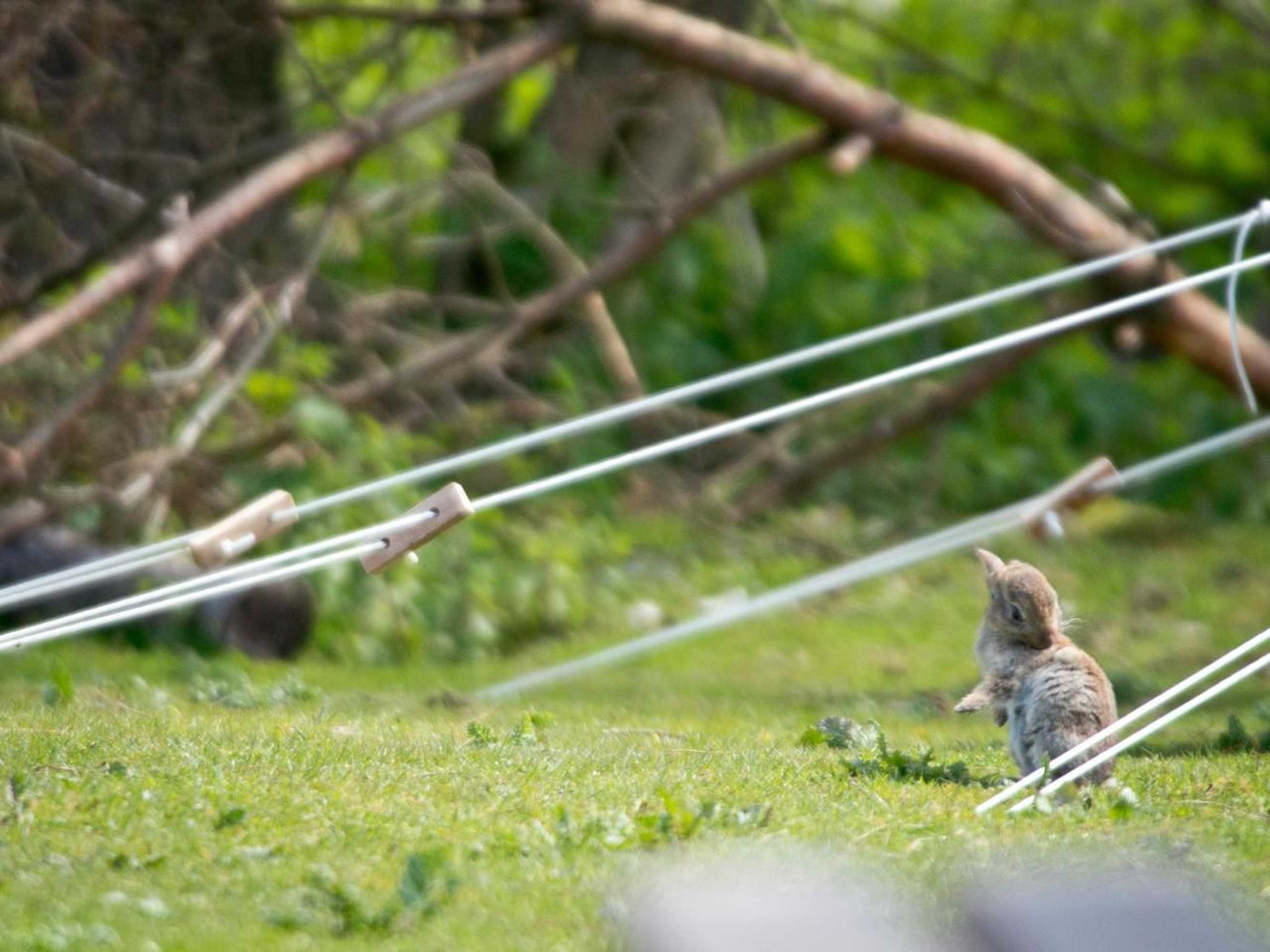 Gift card for Yha Truleigh Hill - Hostel