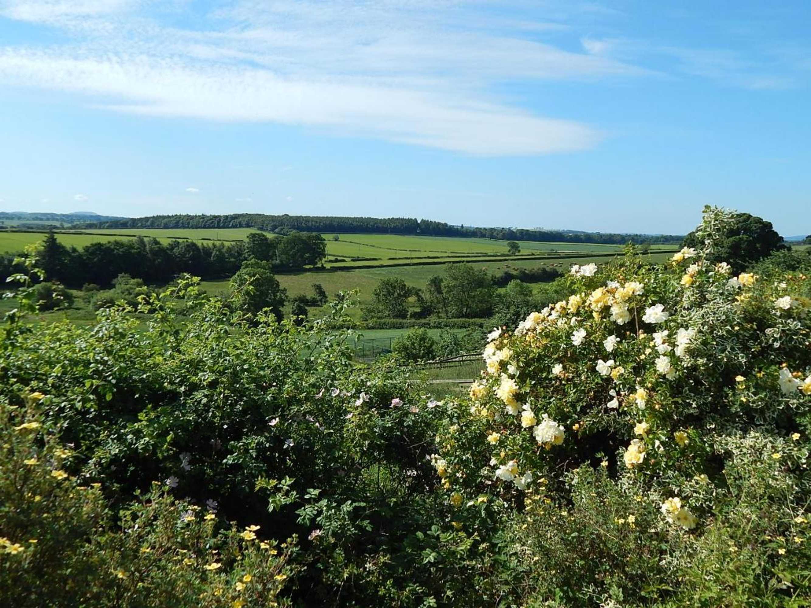 Gift card for Cocklekitty Cottage