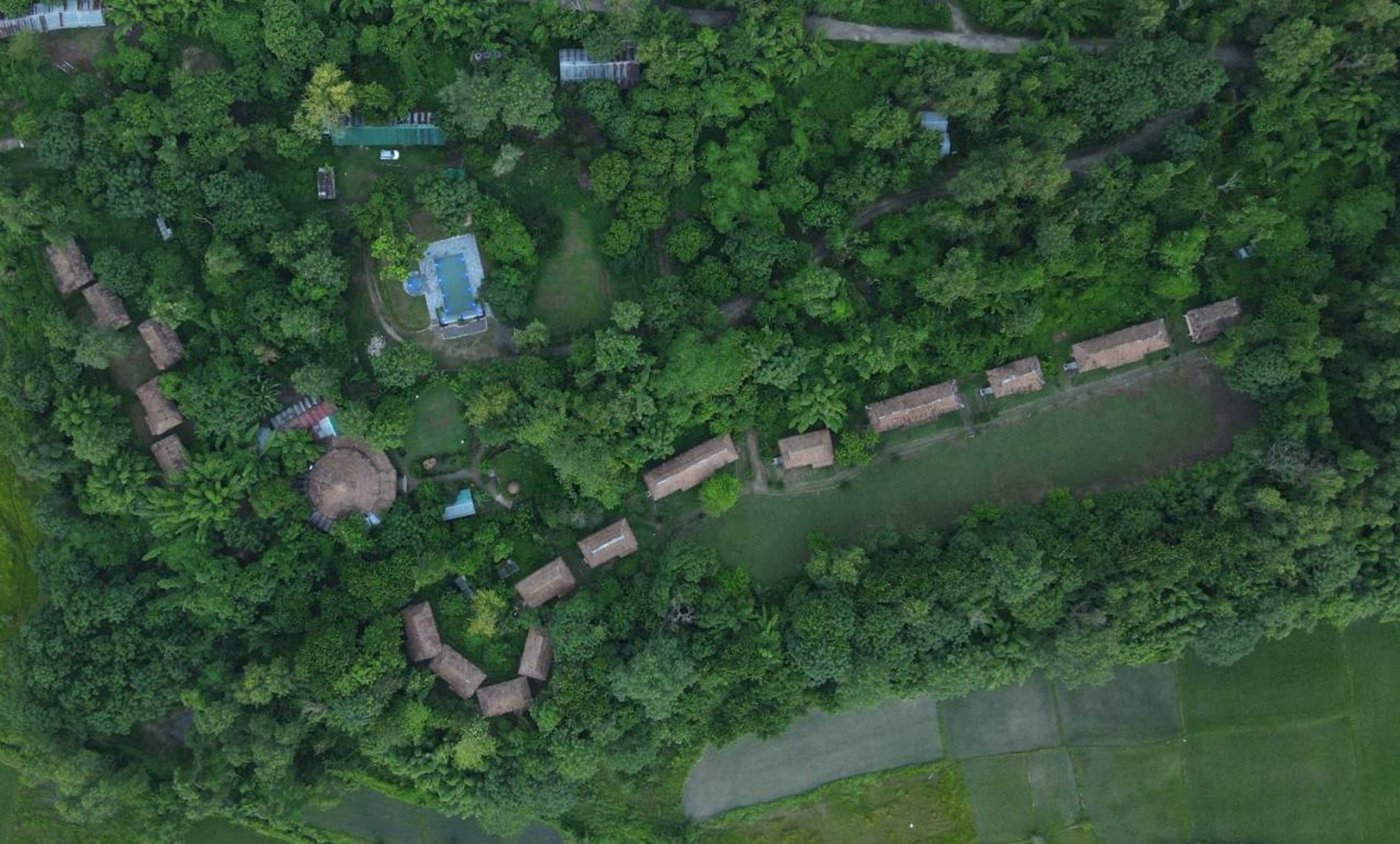 Gift card for Temple Tiger Green Jungle Resort