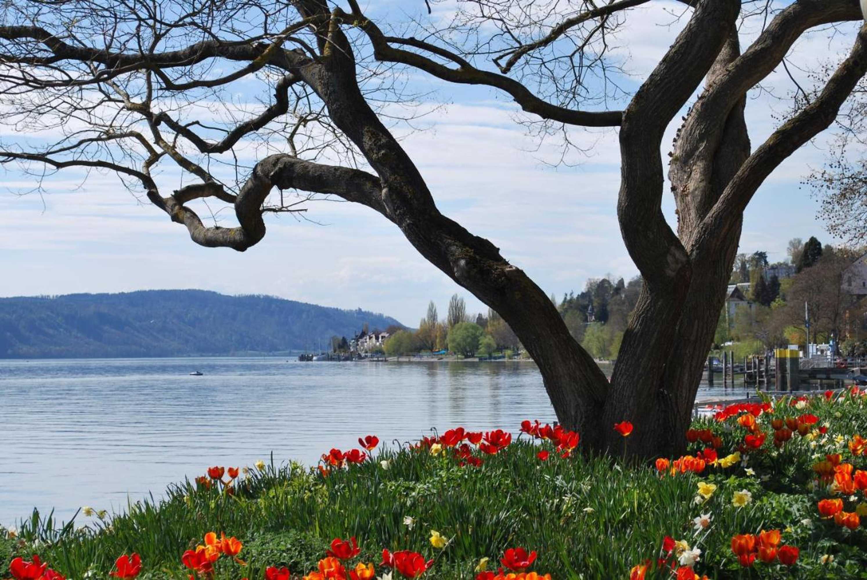 Gift card for Bürgerbräu