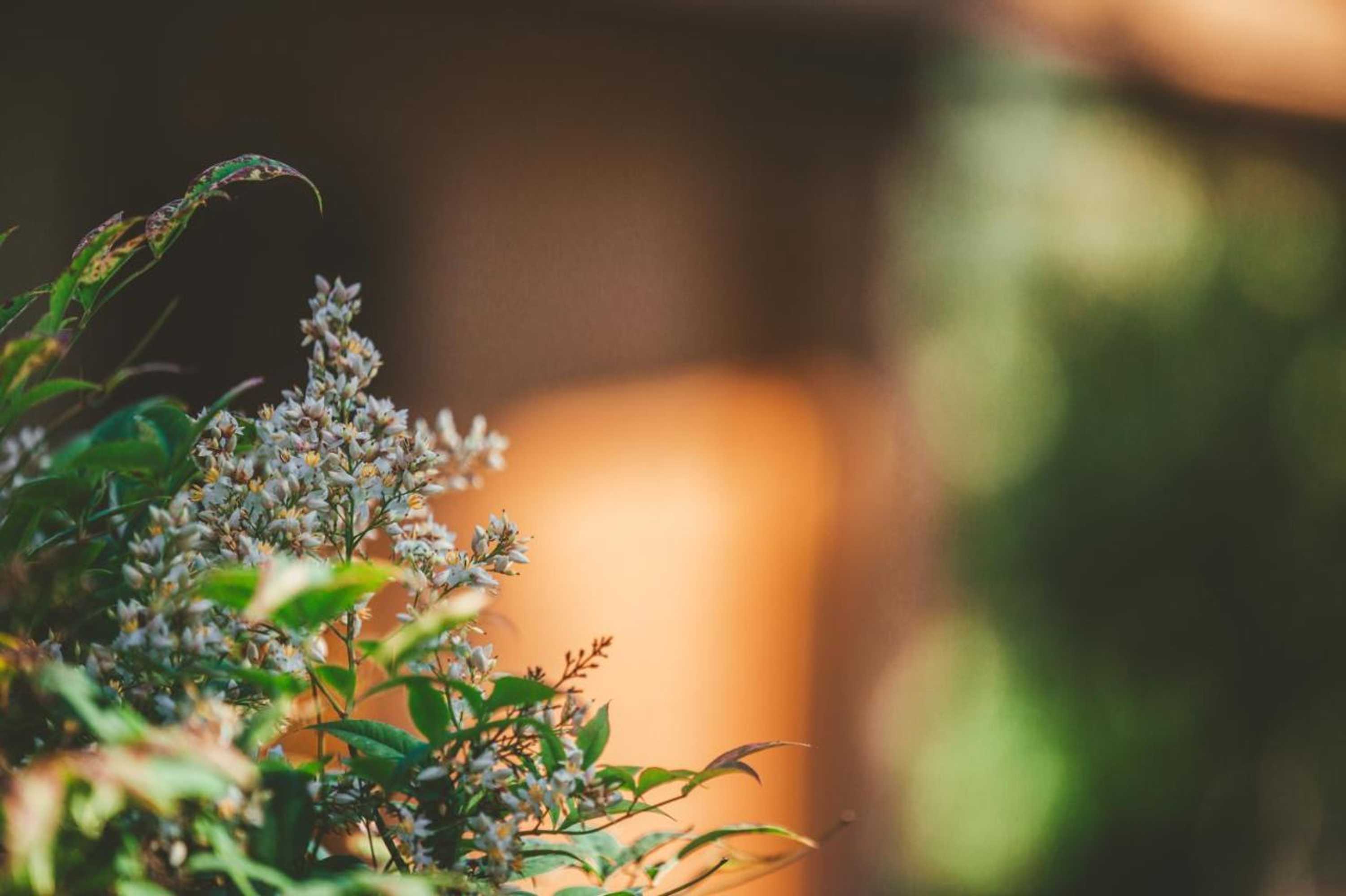 Gift card for Quinta do Lameiro