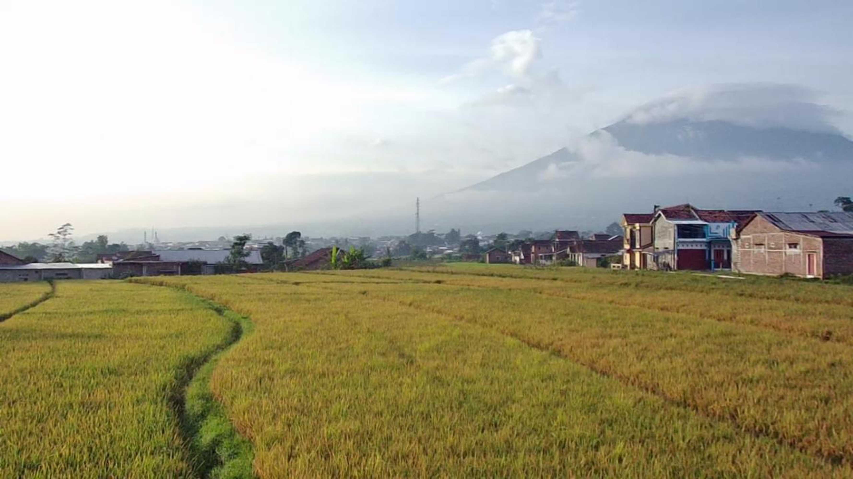 Gift card for Tridwi Homestay