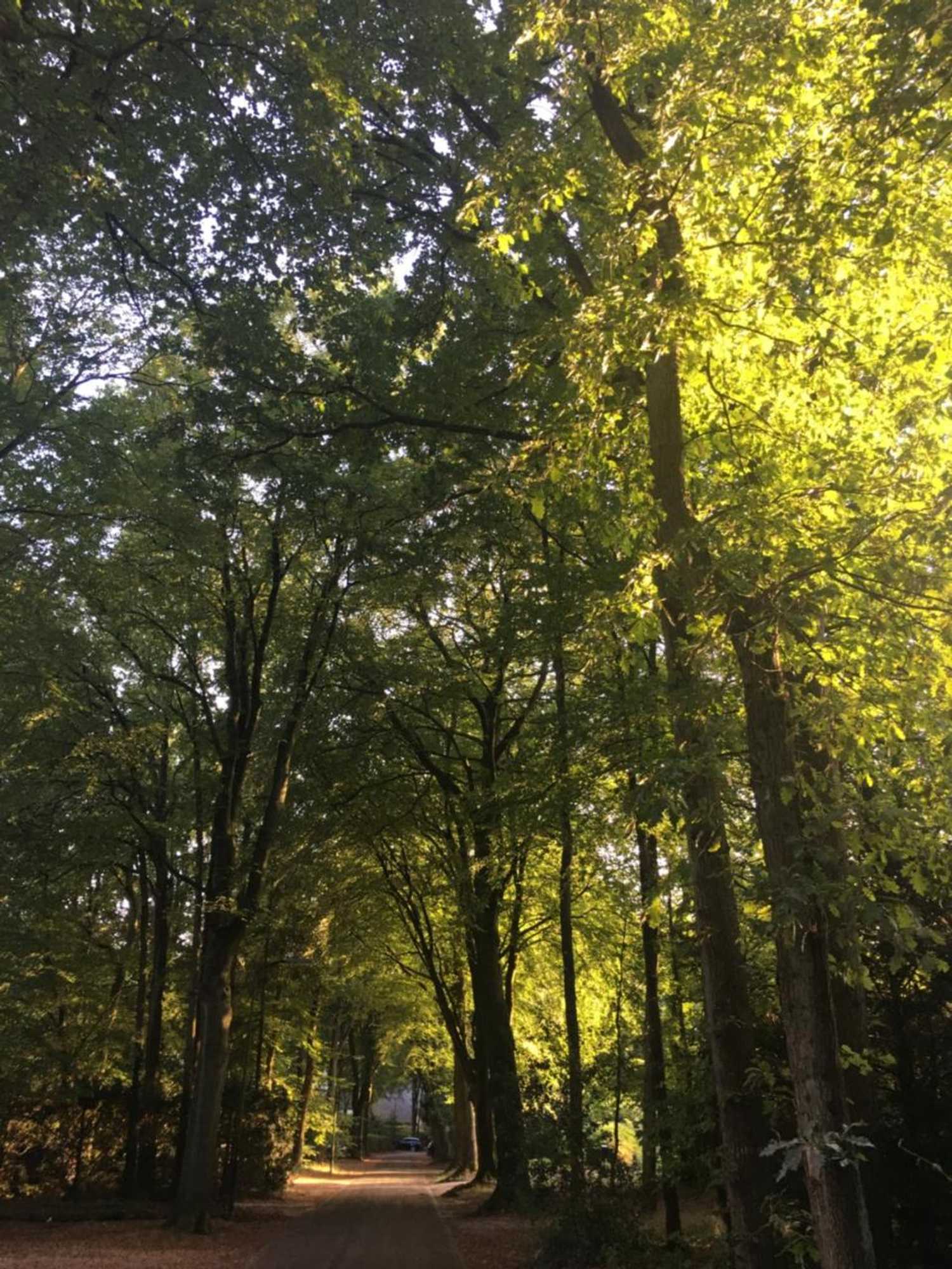 Gift card for B&b In de Aap Gelogeerd