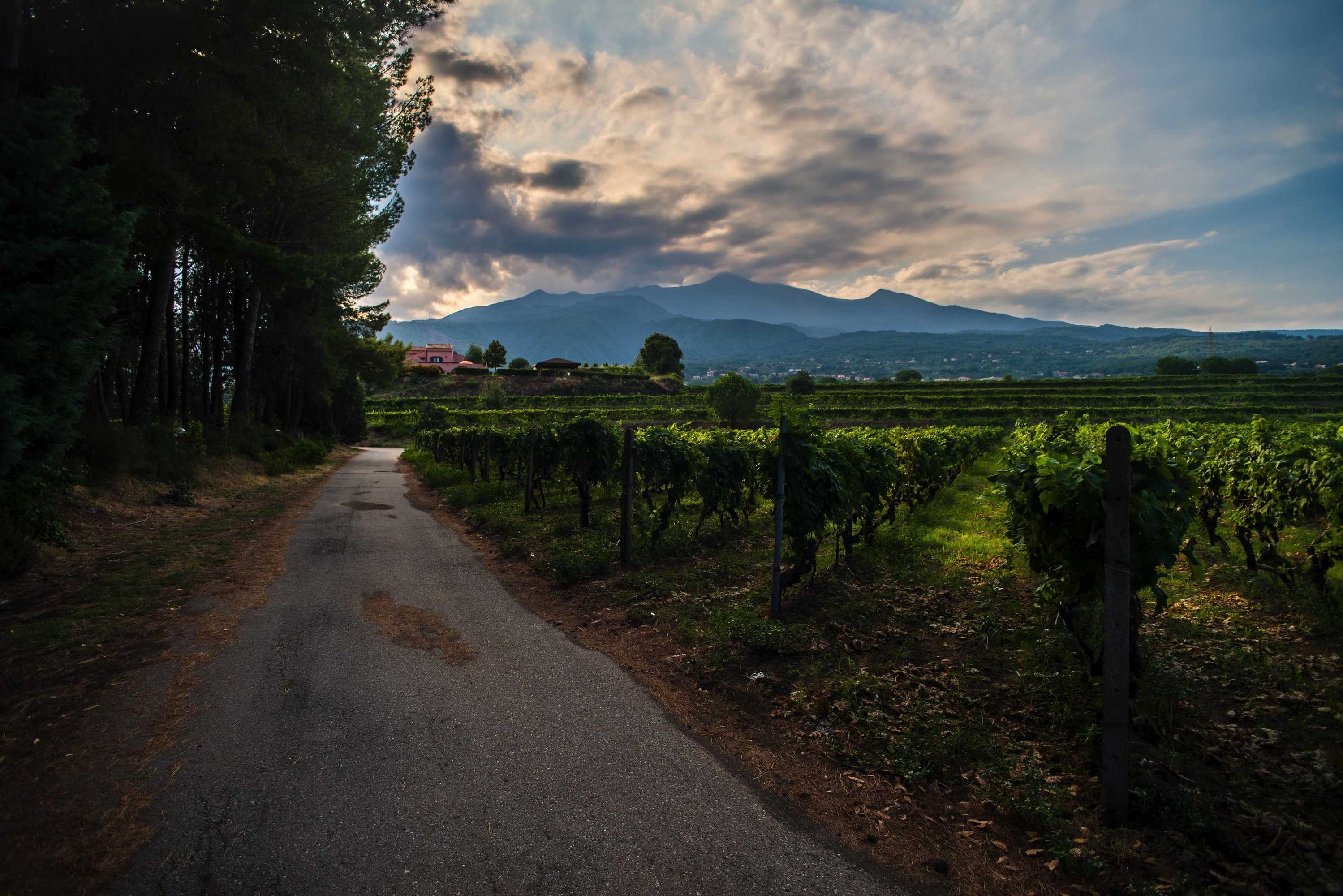 Gift card for Tenuta San Michele Gift card for Tenuta San Michele