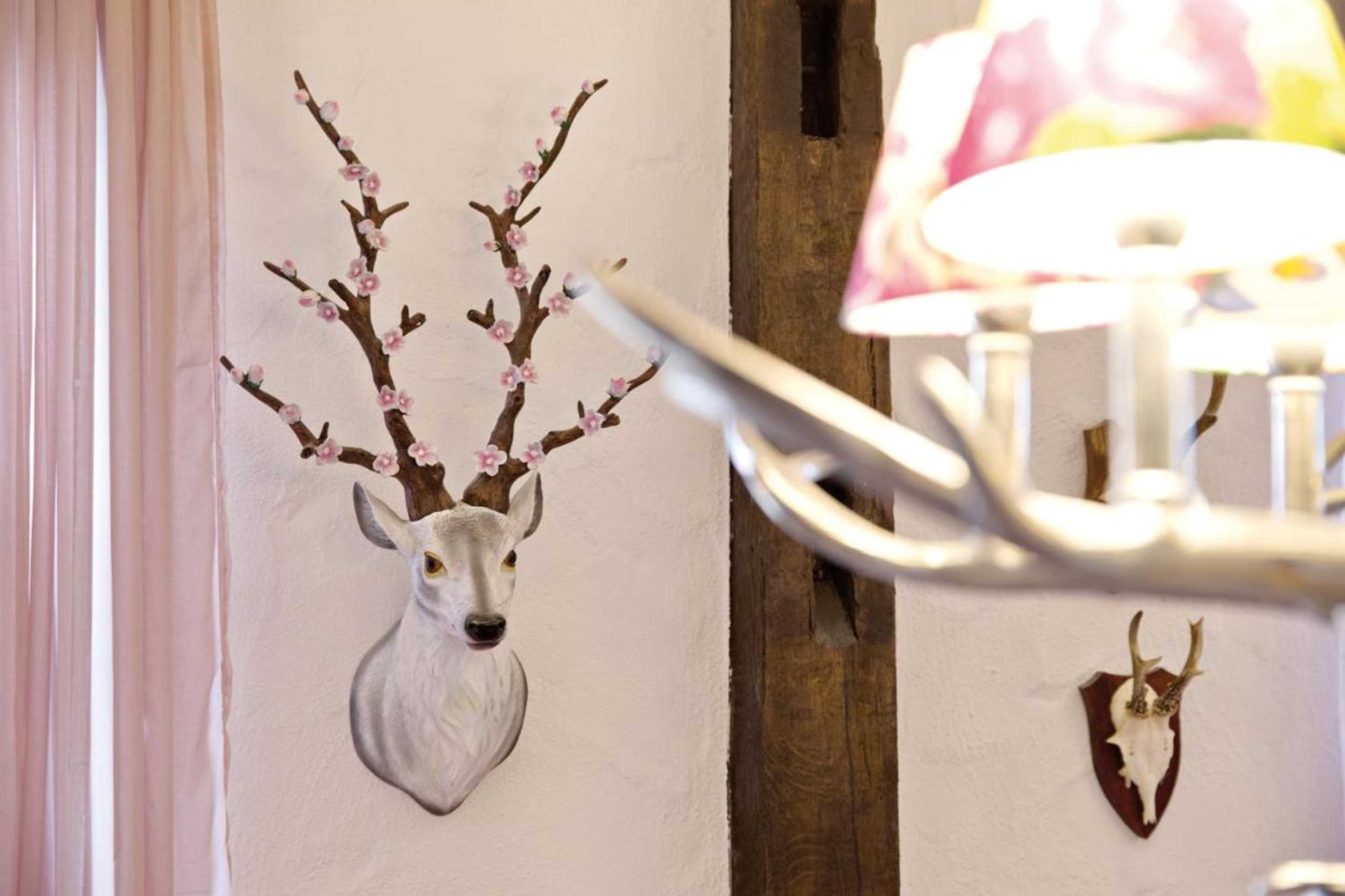 Gift card for Zinsers Appartements im Flämmle