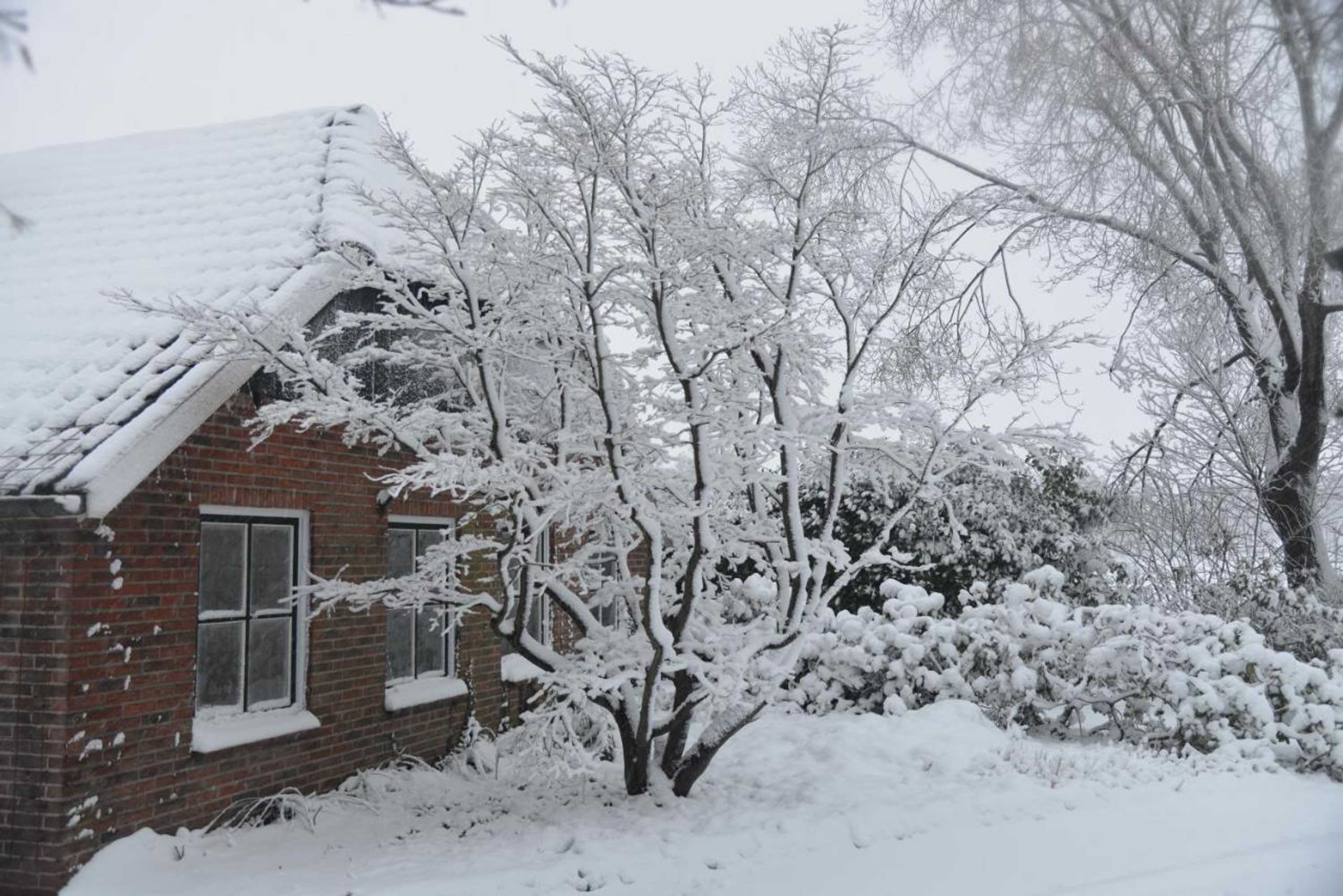 Gift card for Gastenverblijf 't Oelengoor