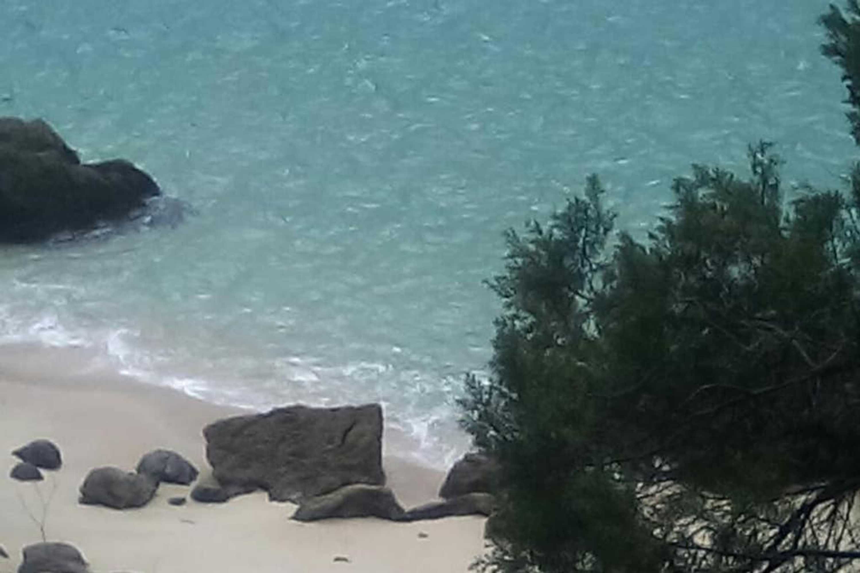 Gift card for Páteo da Memória Casa do Pintor