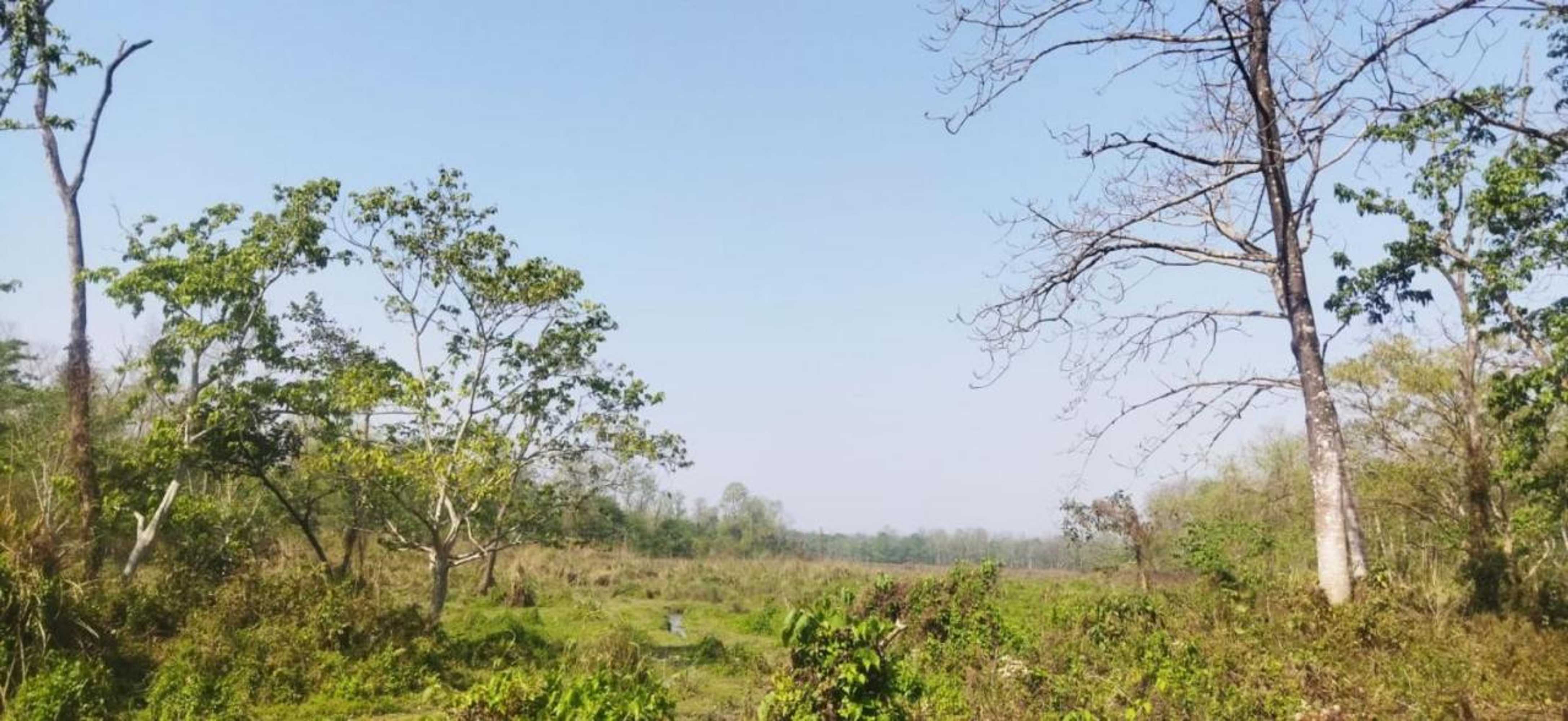 Gift card for Sauraha Holiday Home Riverside