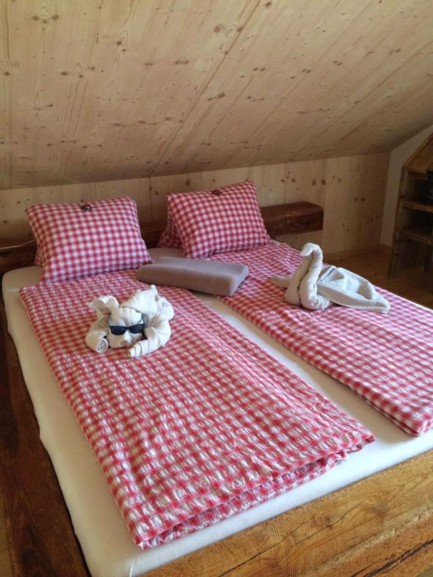 Gift card for Conny's B&b