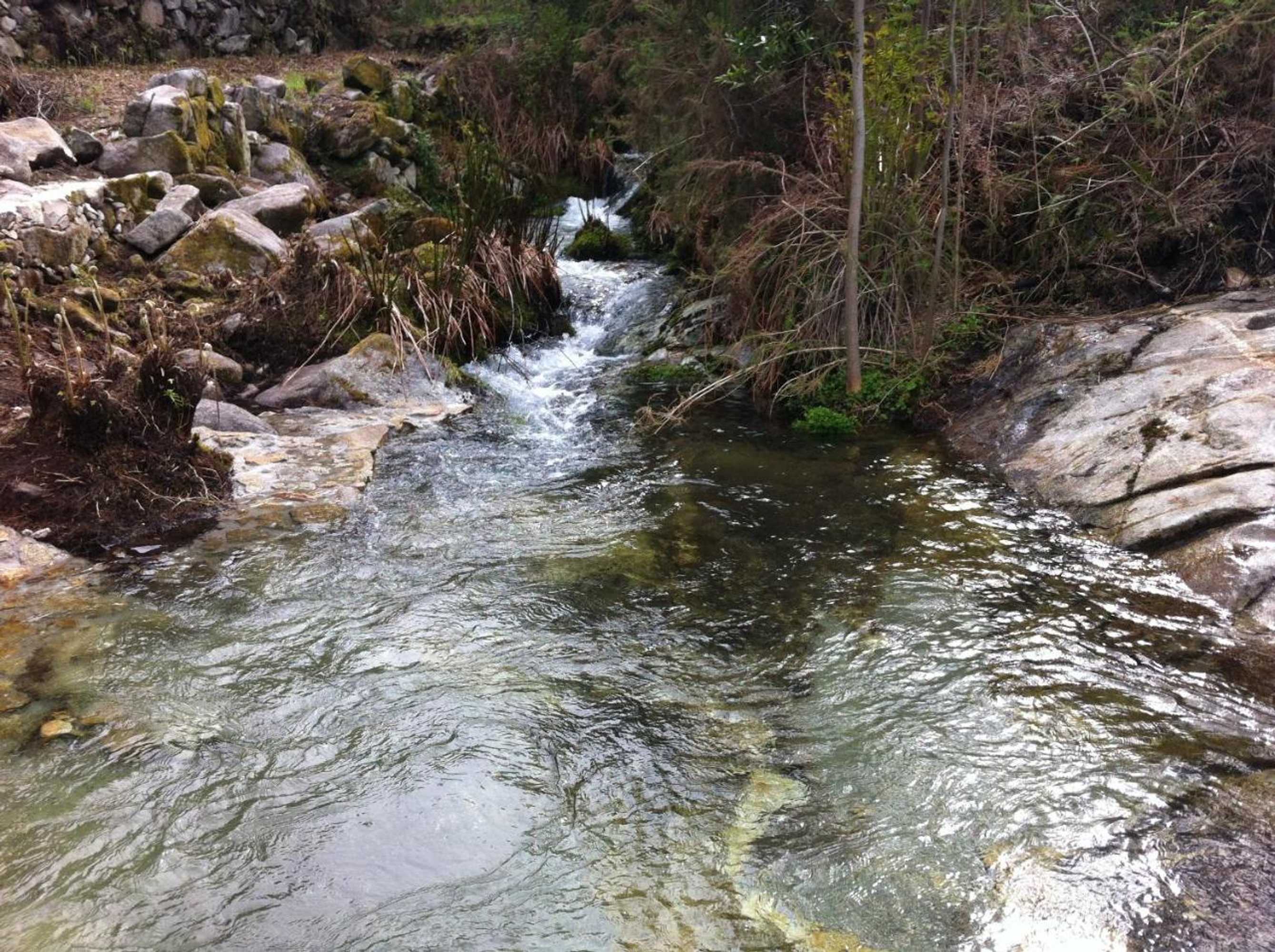 Gift card for Quinta Porto Dos Lobos Gift card for Quinta Porto Dos Lobos