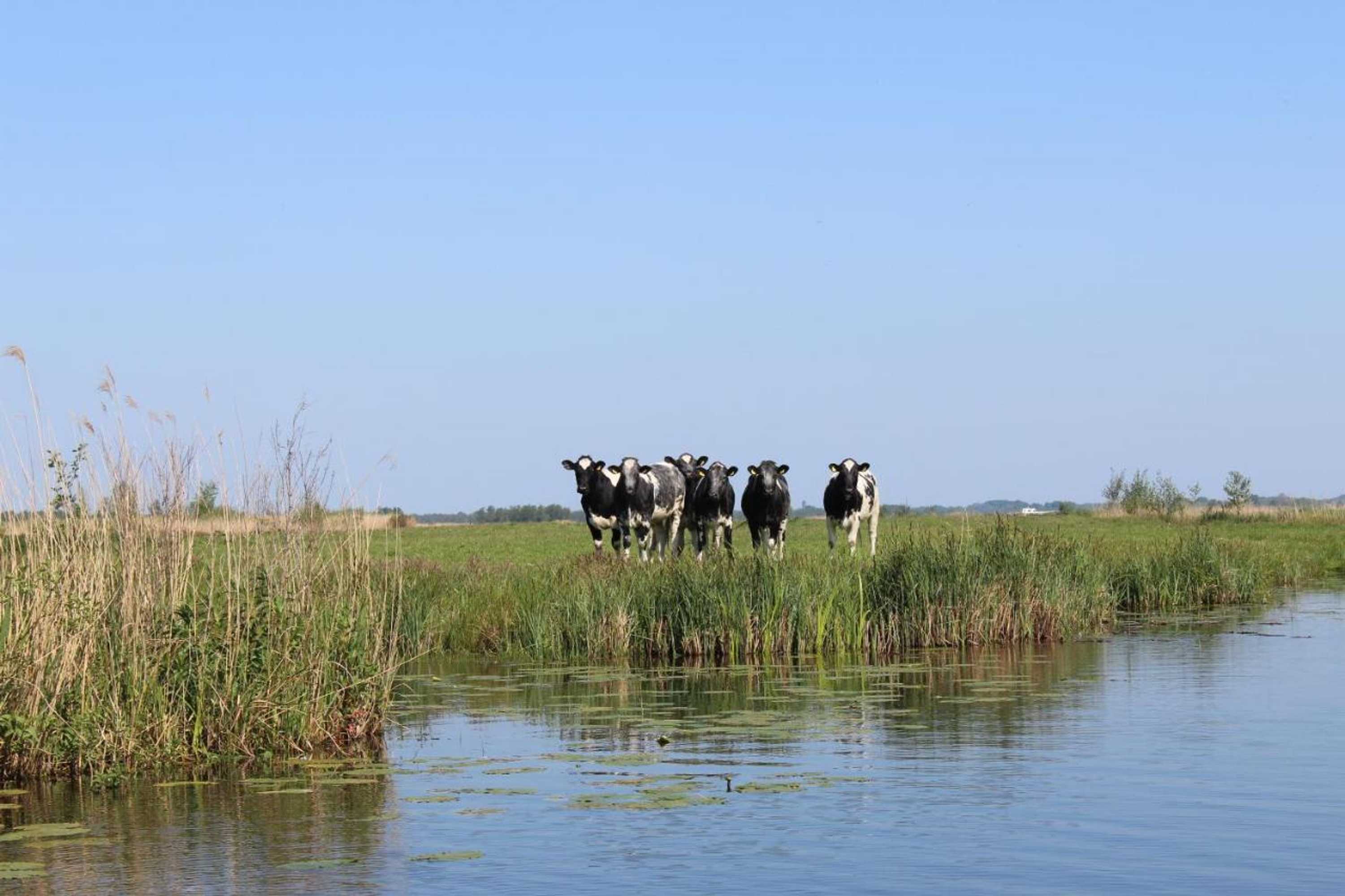 Gift card for Chalet Nr. 9 Resort Venetië